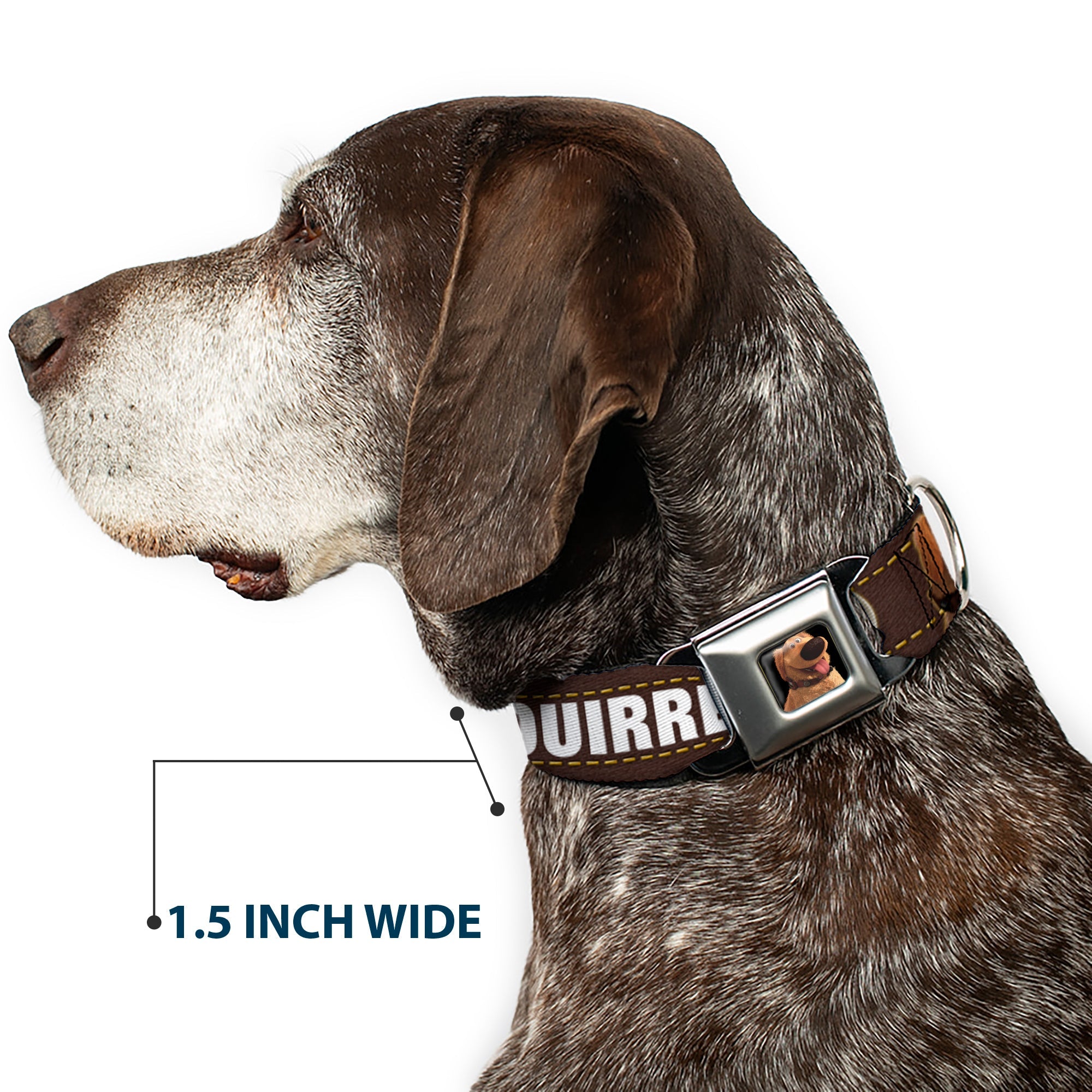 Dug Tongue Out Pose Full Color Black Seatbelt Buckle Collar - Dug 3-Poses/SQUIRREL! Brown/Yellow/White