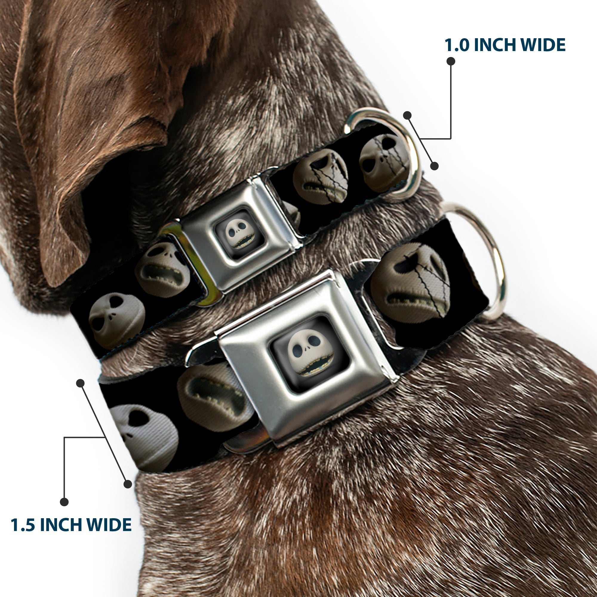 Jack Expression12 Full Color Seatbelt Buckle Collar - Jack 10-Expressions Staggered Black