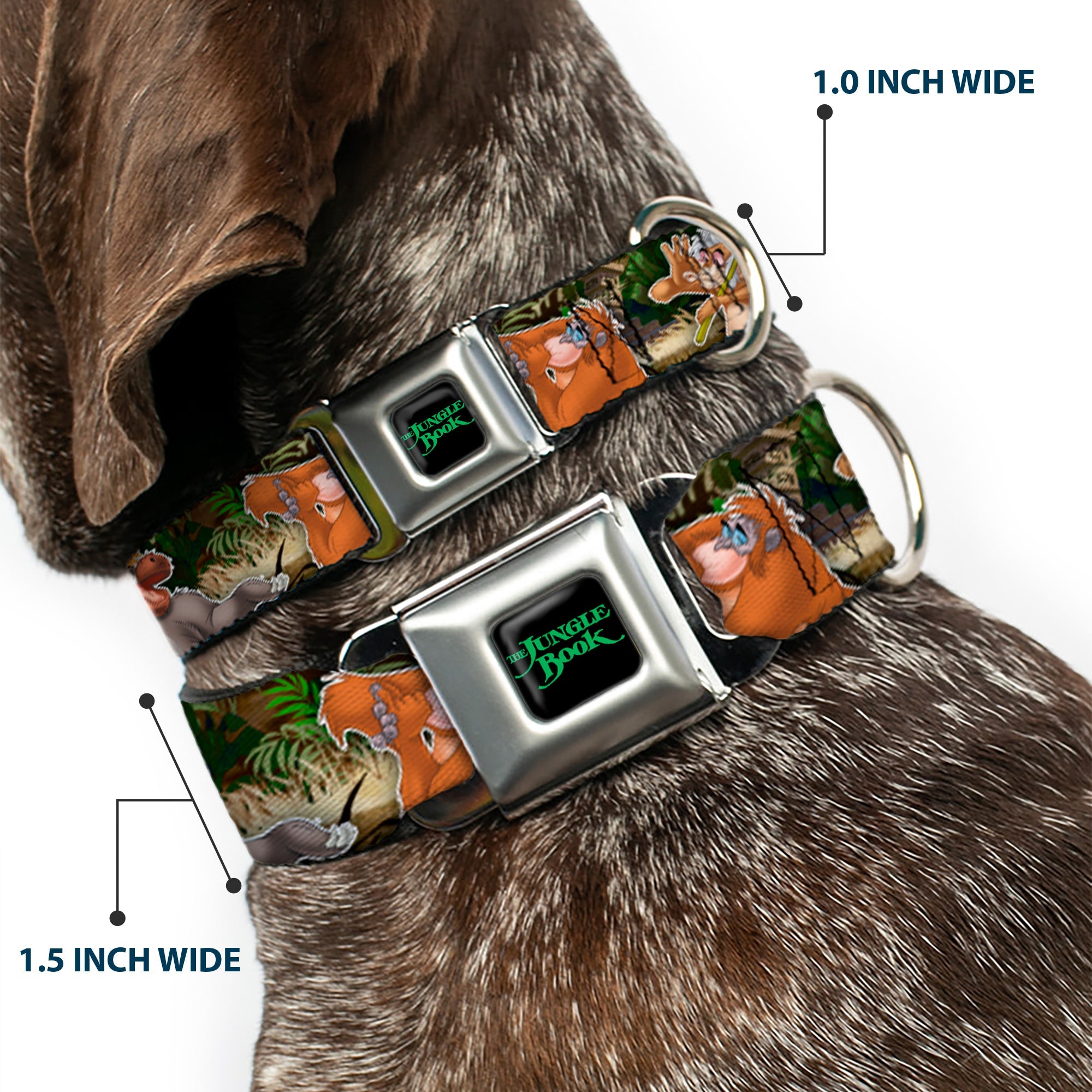 THE JUNGLE BOOK Full Color Black/Green Seatbelt Buckle Collar - The Jungle Book I Wanna Be Like You 4-Character Scene