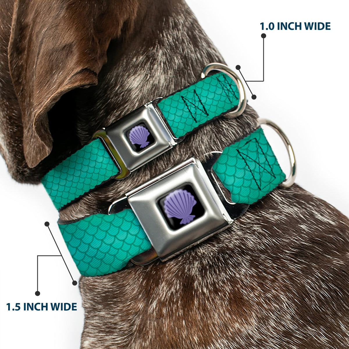 Little Mermaid Clam Shell Full Color Black/Purples Seatbelt Buckle Collar - Ariels Scales Turquoise Blues