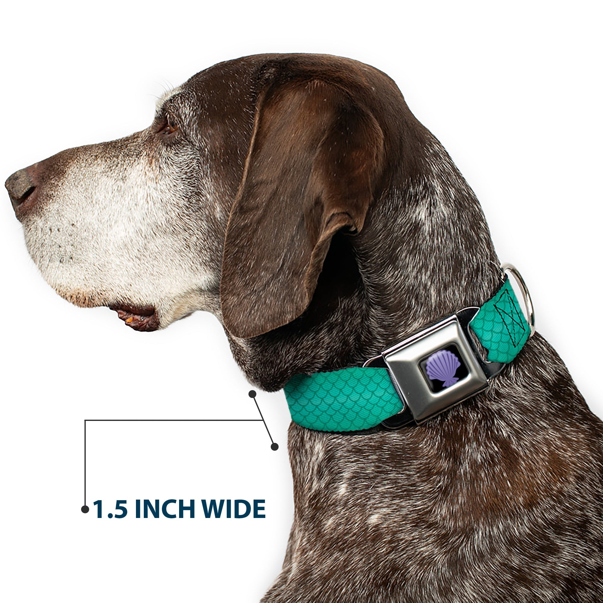 Little Mermaid Clam Shell Full Color Black/Purples Seatbelt Buckle Collar - Ariels Scales Turquoise Blues