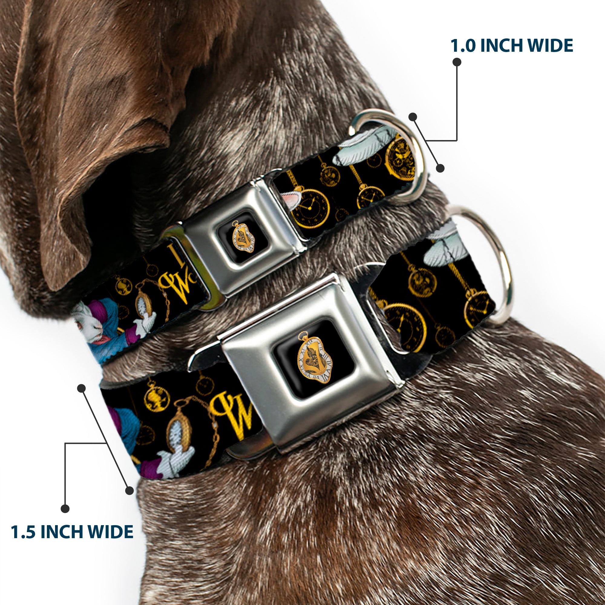 Alice in Wonderland Clock Full Color Black/Gold/White Seatbelt Buckle Collar - White Rabbit Poses LOOKING FOR WONDERLAND/Clocks Black/Golds
