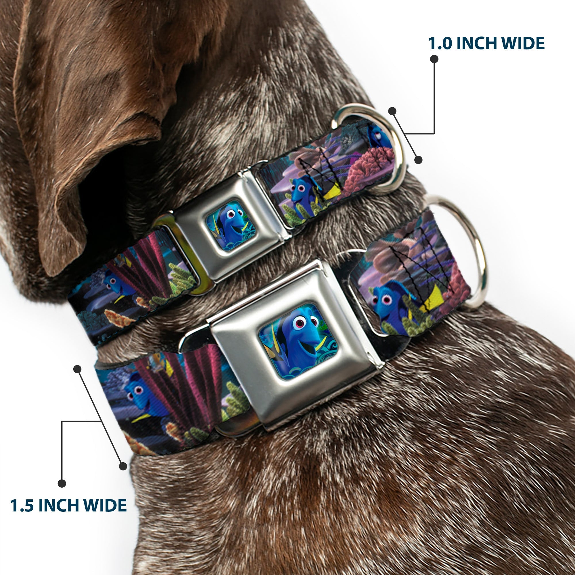Dory Pose3/Swirls Full Color Blues Seatbelt Buckle Collar - Dory 4-Hiding Poses Under the Sea