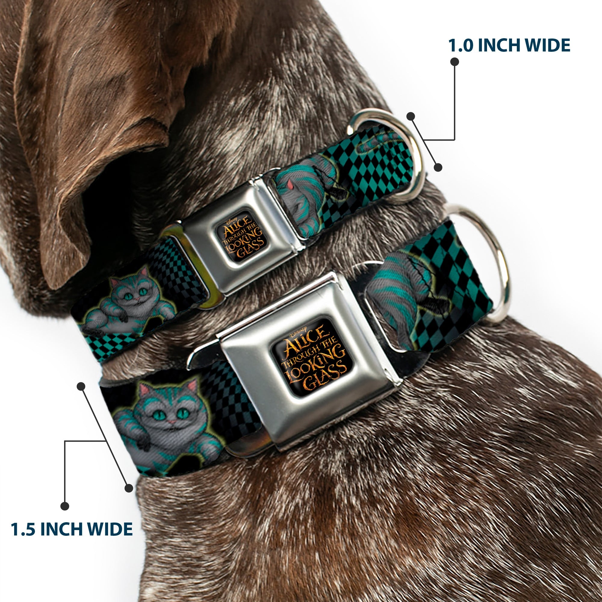 ALICE THROUGH THE LOOKING GLASS Logo Full Color Black/Gold Seatbelt Buckle Collar - Cheshire Cat 4-Poses Checkers Teal/Black