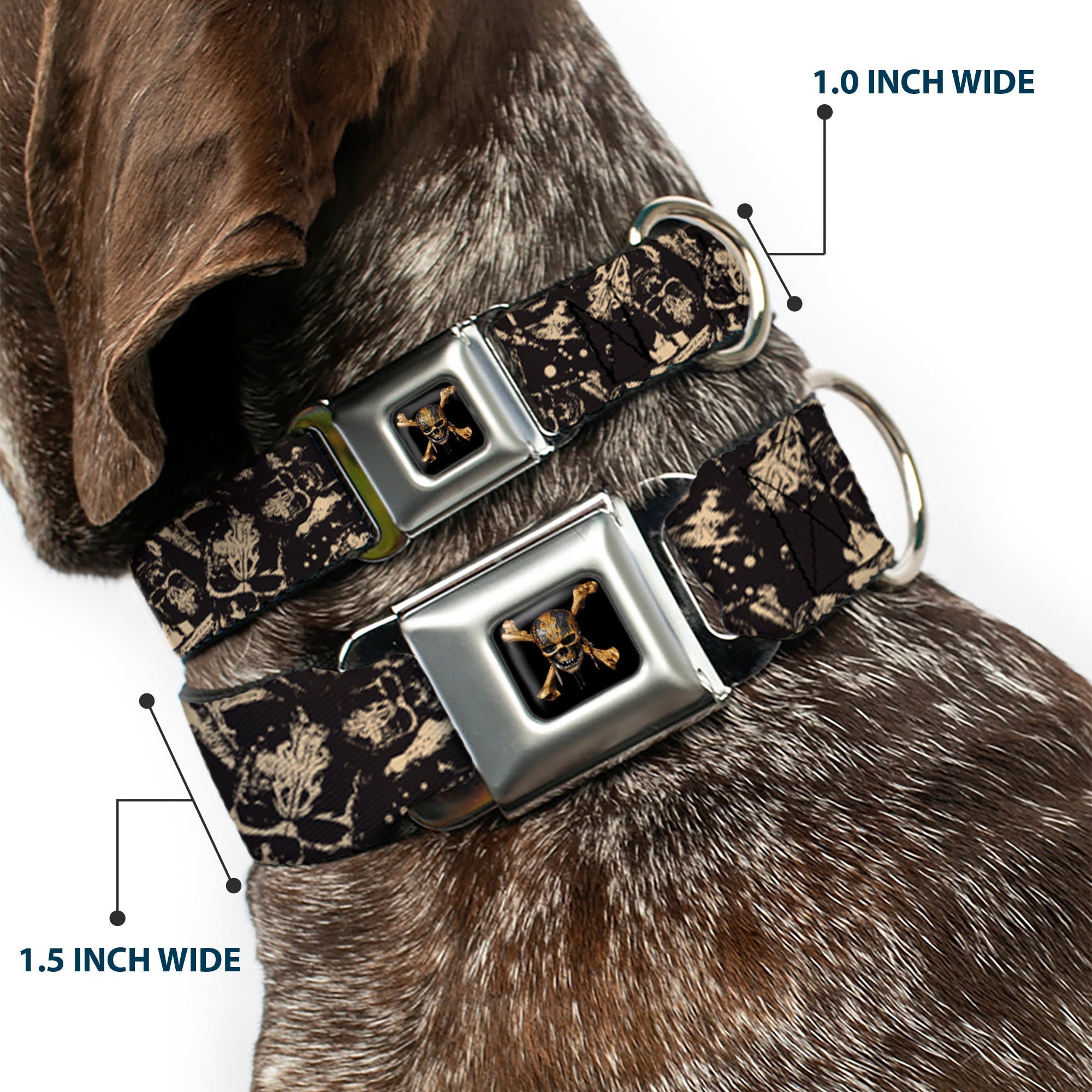 Pirates of The Caribbean Dead Men Tell No Tales Skull Icon Full Color Black Seatbelt Buckle Collar - Pirates Skulls Scattered/Splatter Black/Tan/Red