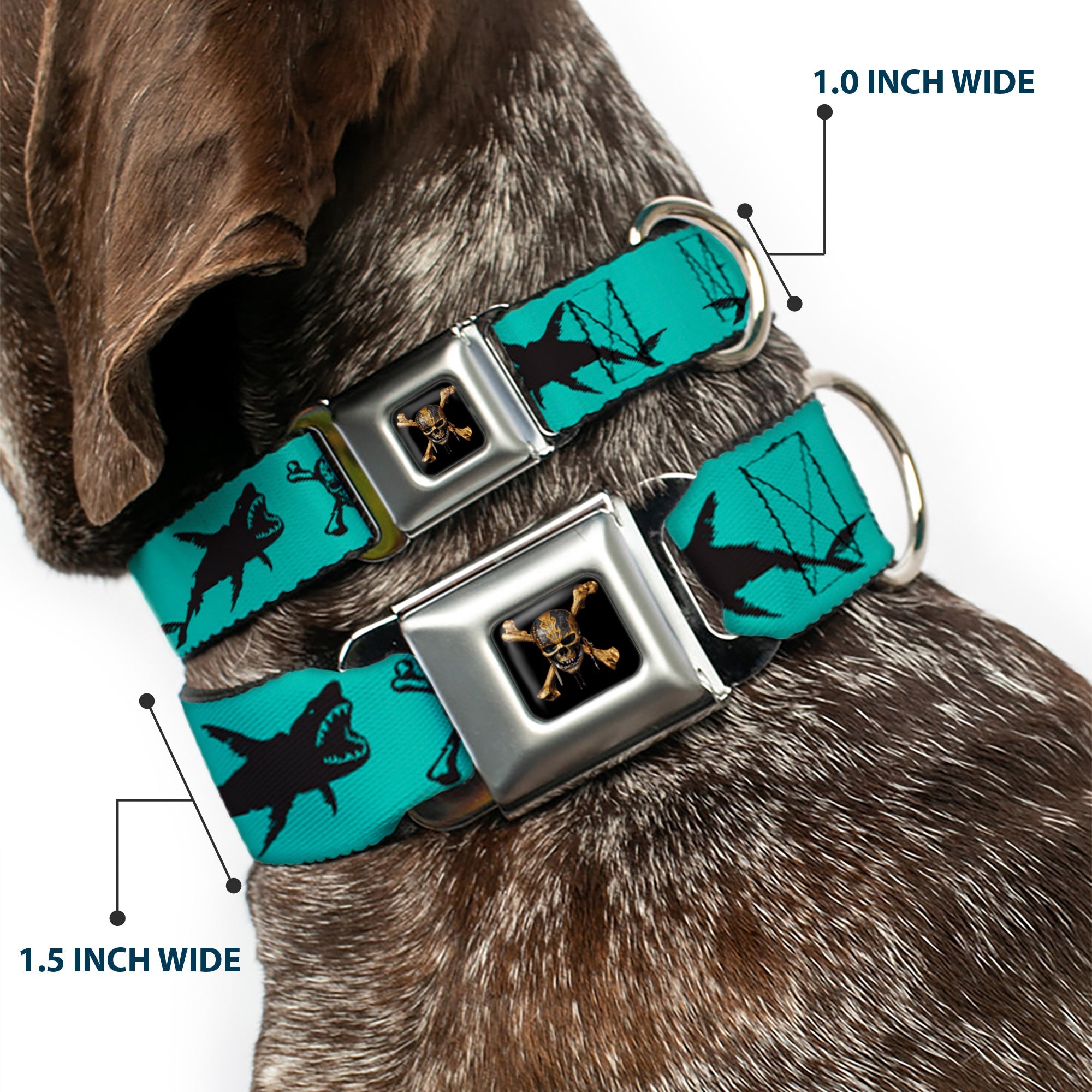 Pirates of The Caribbean Dead Men Tell No Tales Skull Icon Full Color Black Seatbelt Buckle Collar - Pirates Skull & Crossbones/Sharks Turquoise/Black