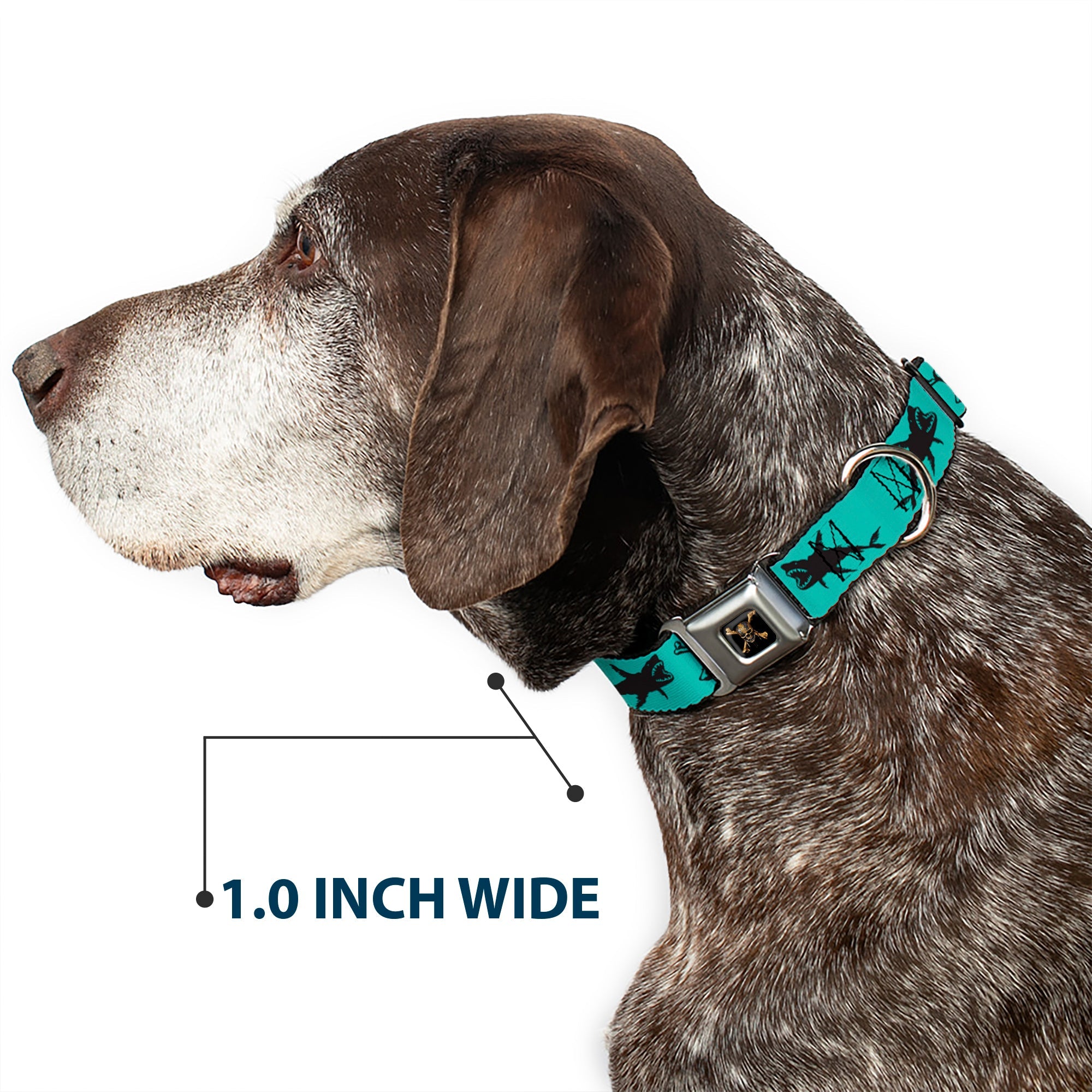 Pirates of The Caribbean Dead Men Tell No Tales Skull Icon Full Color Black Seatbelt Buckle Collar - Pirates Skull & Crossbones/Sharks Turquoise/Black