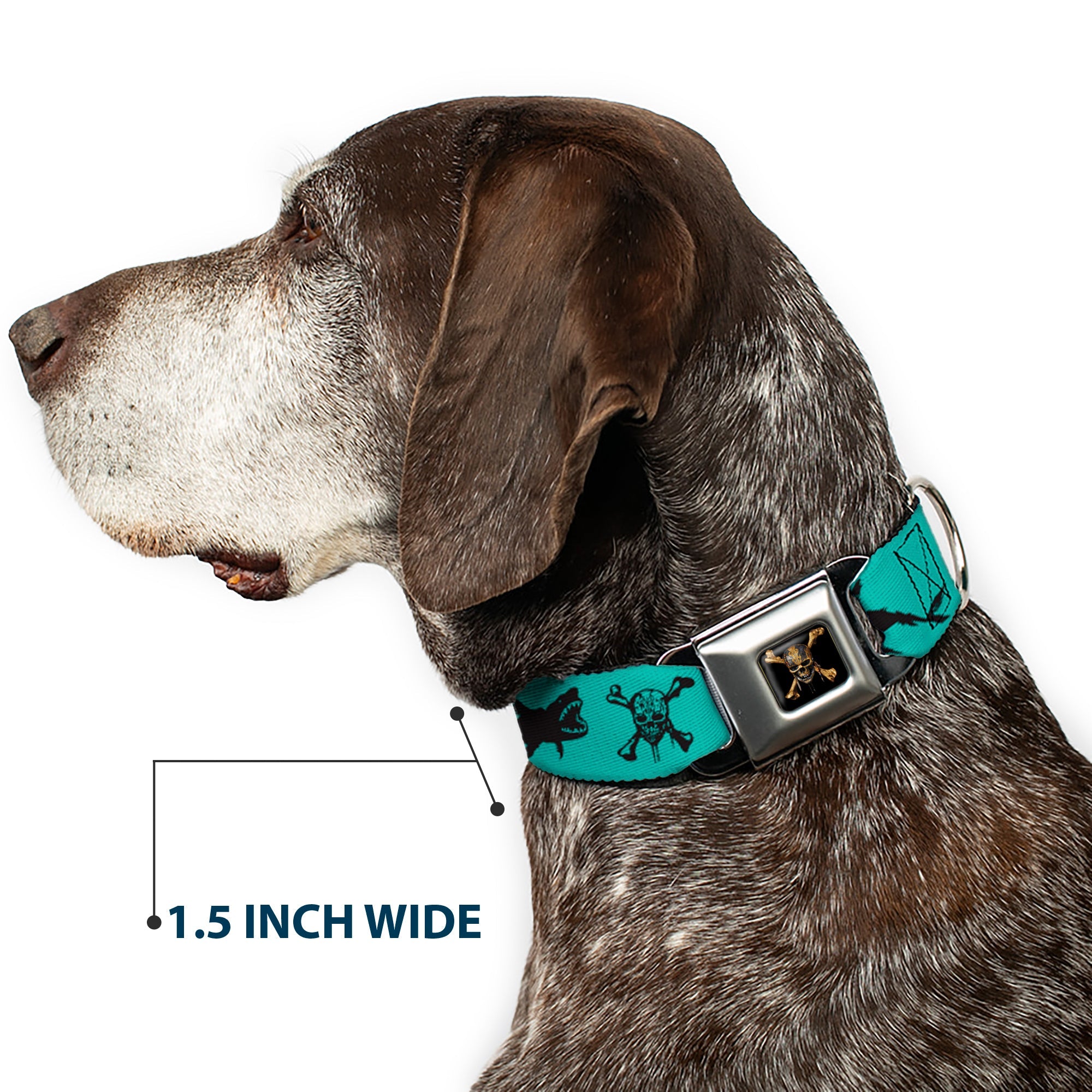 Pirates of The Caribbean Dead Men Tell No Tales Skull Icon Full Color Black Seatbelt Buckle Collar - Pirates Skull & Crossbones/Sharks Turquoise/Black