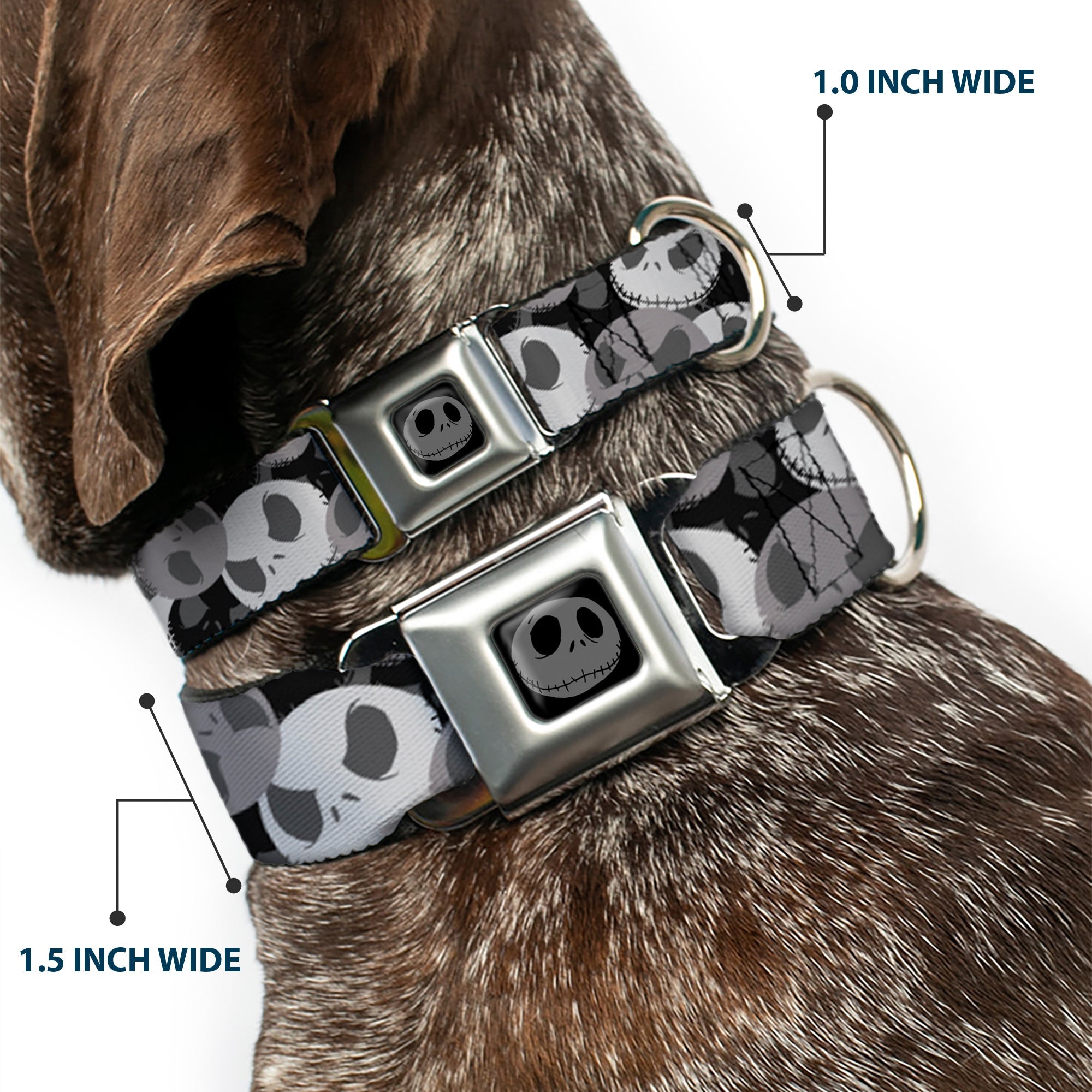 Jack Expression5 Black Silver Seatbelt Buckle Collar - Nightmare Before Christmas Jack Expression Stacked Black/Grays