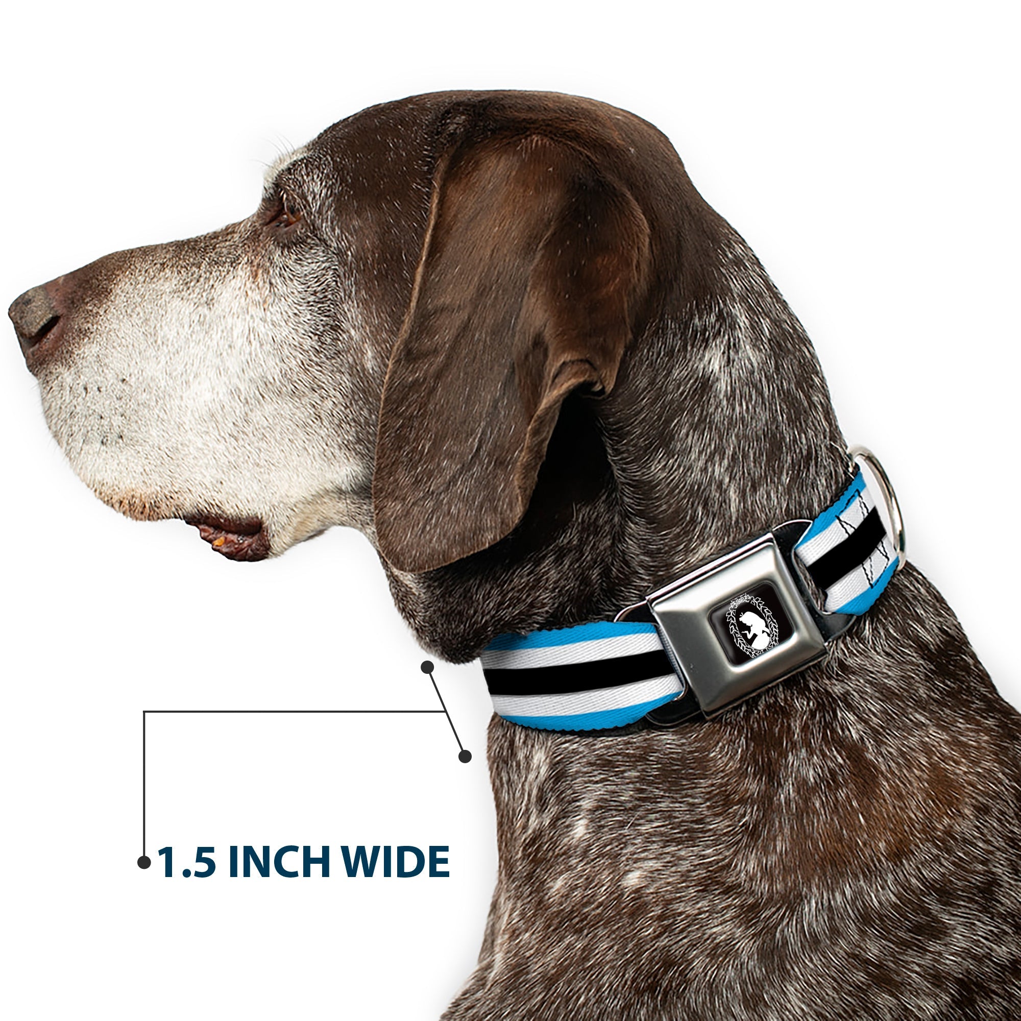 Alice Silhouette Cameo Pose Black White Seatbelt Buckle Collar - Alice in Wonderland Stripe/Bow Silhouette Blue/Black/White