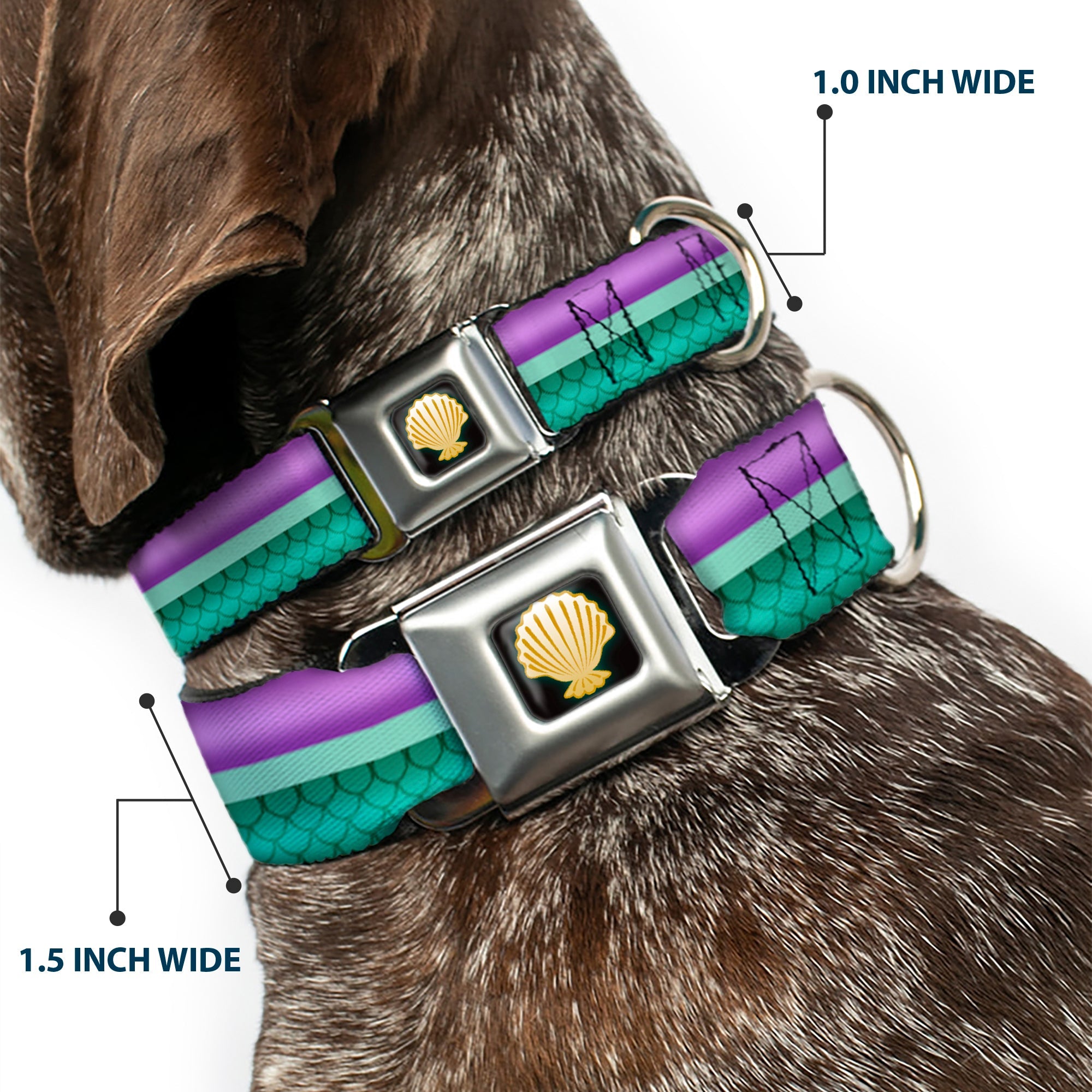Little Mermaid Clam Shell Black Yellows Seatbelt Buckle Collar - Little Mermaid Stripe/Shell Purple/Green/Gold