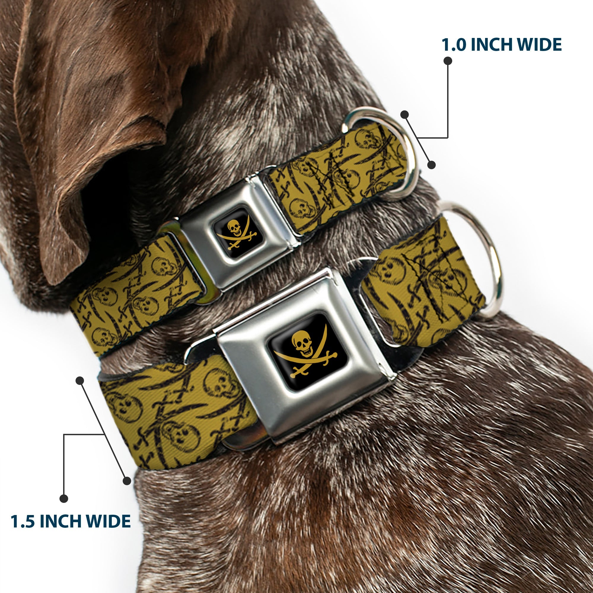 Skull & Crossed Swords Black Tan Seatbelt Buckle Collar - Pirates Skull & Crossed Swords Scattered Weathered Tan/Black