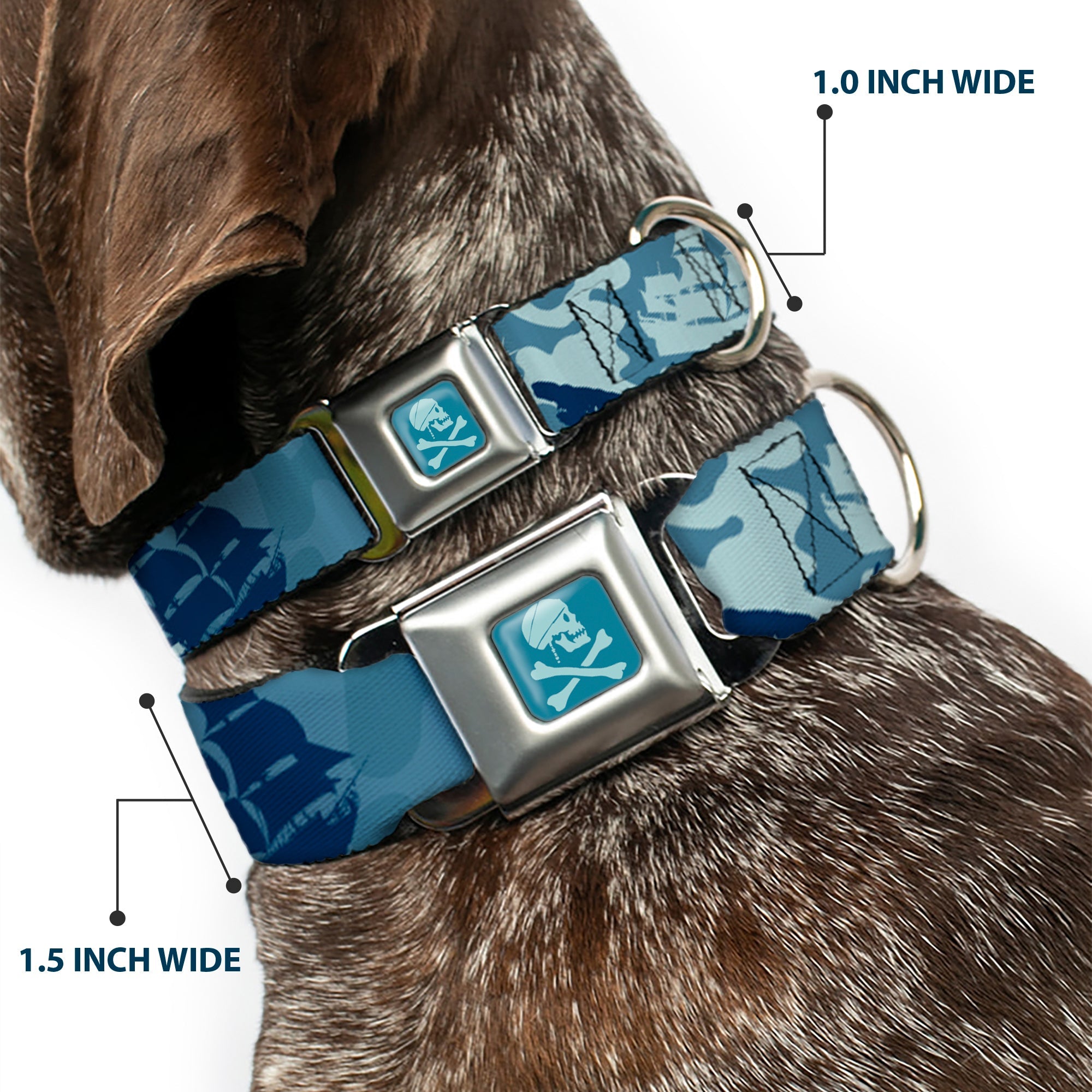 Jack Sparrows Flag Skull Icon Blues Seatbelt Buckle Collar - Jack Sparrows Flag Icons/Black Pearl/Sharks Blues