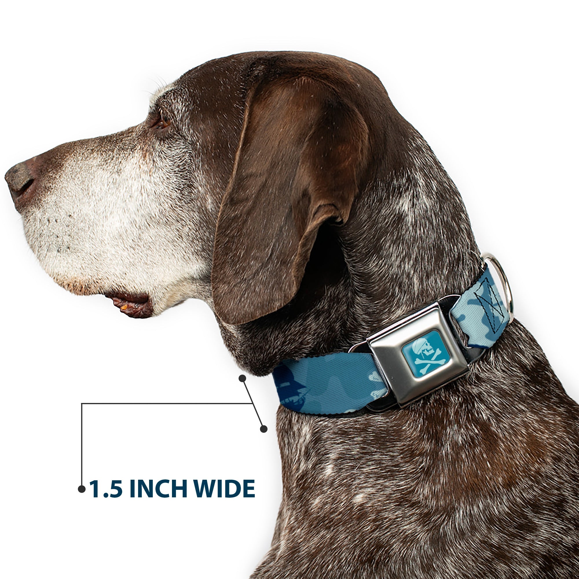 Jack Sparrows Flag Skull Icon Blues Seatbelt Buckle Collar - Jack Sparrows Flag Icons/Black Pearl/Sharks Blues