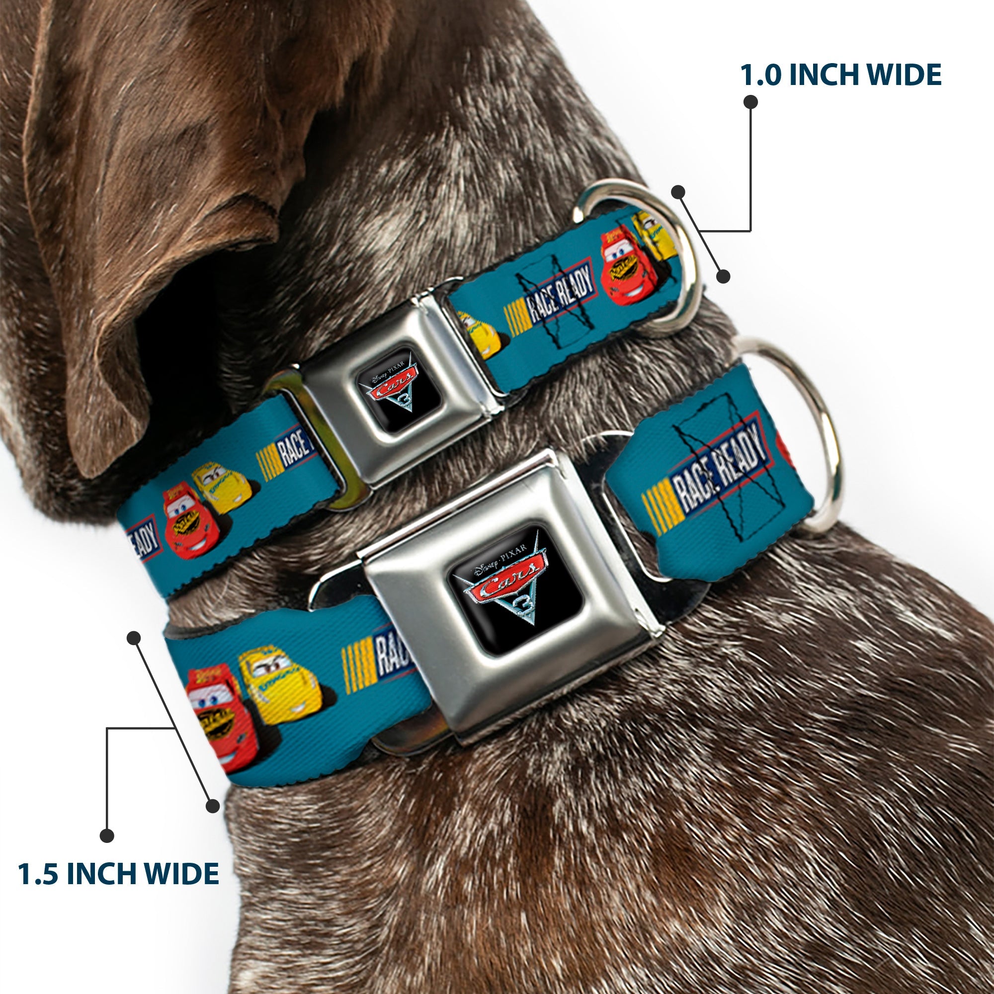 Cars 3 Piston Cup Champion Icon Full Color Red Black White Seatbelt Buckle Collar - Cars 3 Lightning McQueen/Cruz Ramirez Pose RACE READY Blue/Yellow/Red