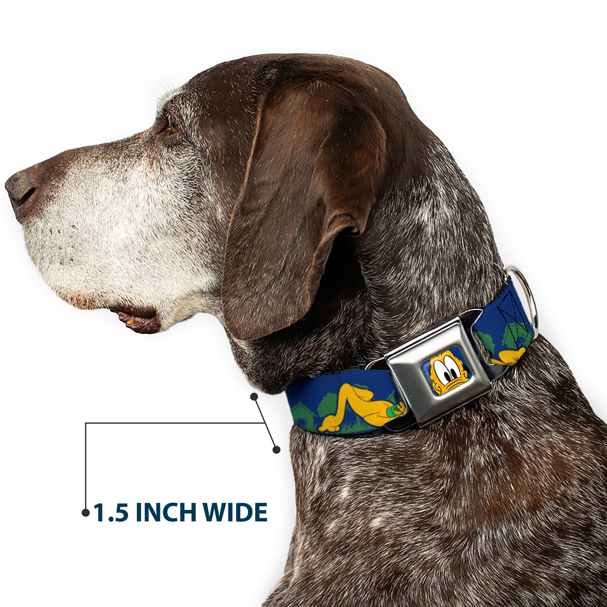Pluto Face CLOSE-UP Blue Seatbelt Buckle Collar - Pluto 4-Poses/Landscape Blue/Green
