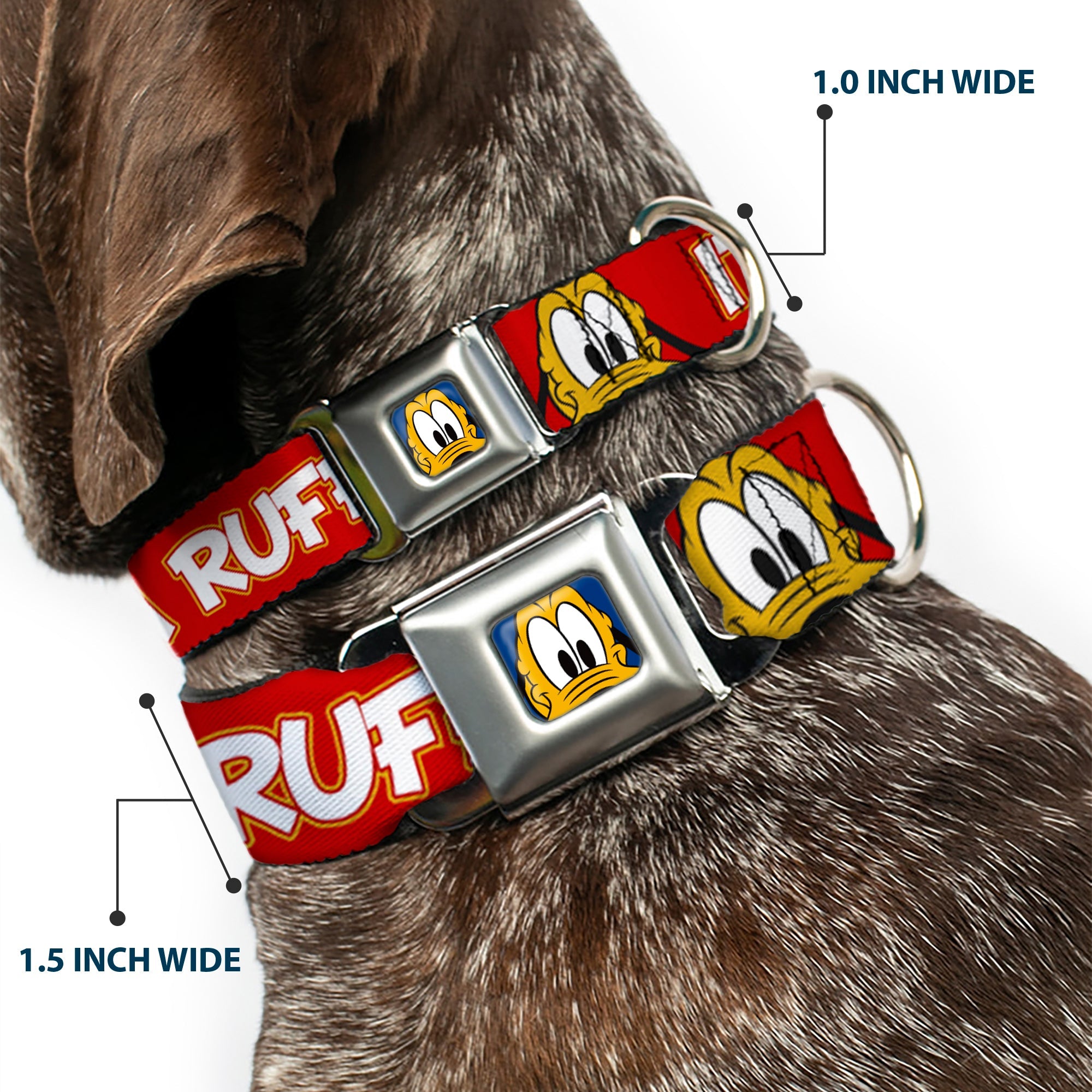 Pluto Face CLOSE-UP Full Color Blue Seatbelt Buckle Collar - Pluto 2-Pose ITS A RUFF LIFE Red/Yellow/White