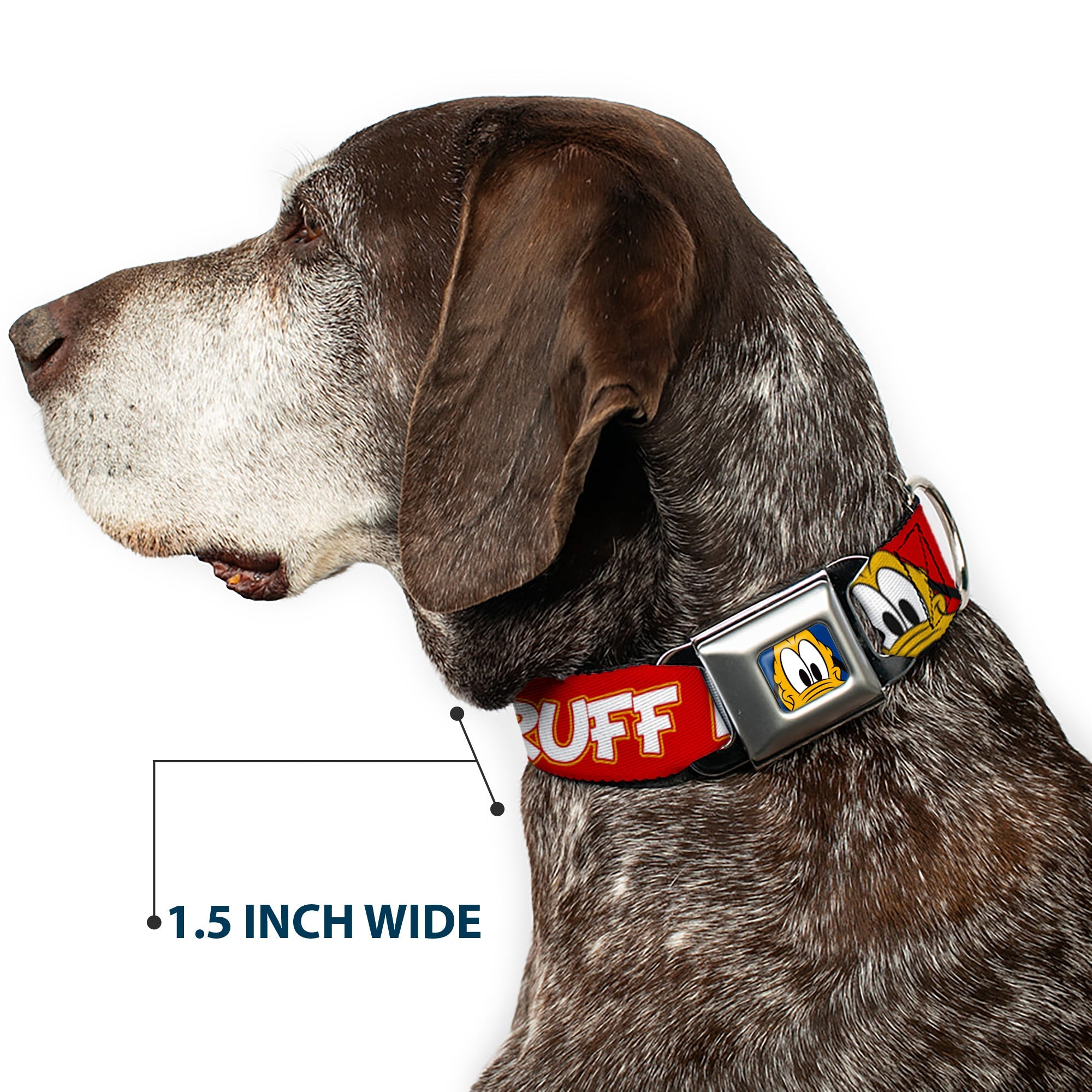 Pluto Face CLOSE-UP Full Color Blue Seatbelt Buckle Collar - Pluto 2-Pose ITS A RUFF LIFE Red/Yellow/White