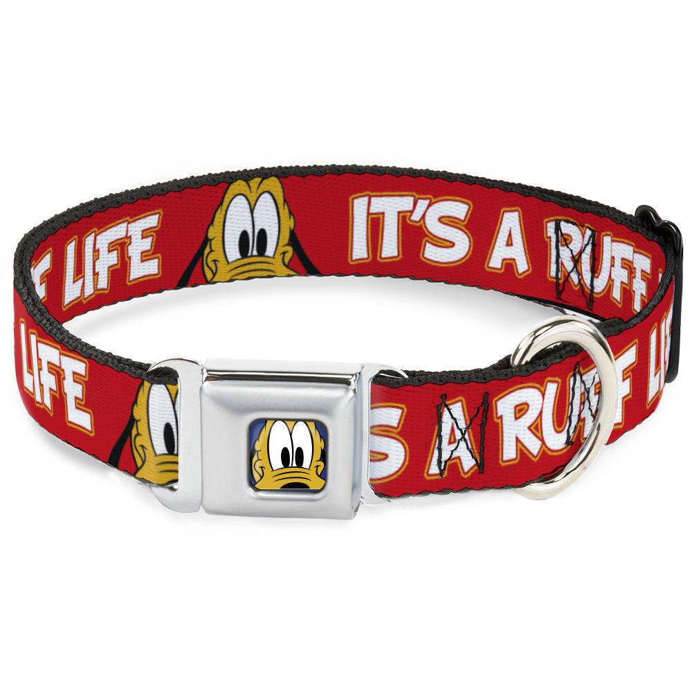 Pluto Face CLOSE-UP Full Color Blue Seatbelt Buckle Collar - Pluto 2-Pose ITS A RUFF LIFE Red/Yellow/White
