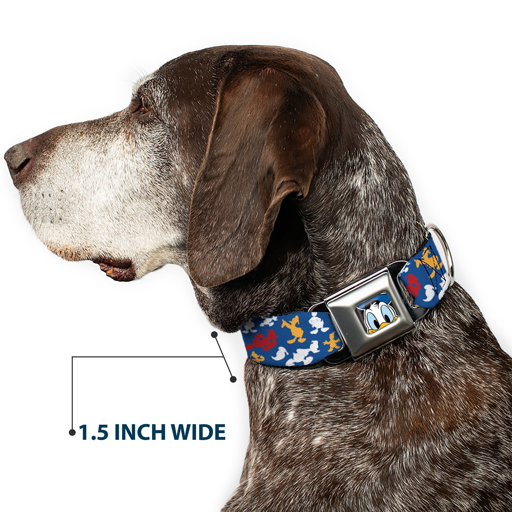 Donald Duck Face CLOSE-UP Full Color Seatbelt Buckle Collar - Donald Duck Face/Poses Scattered Blue/White/Red/Yellow
