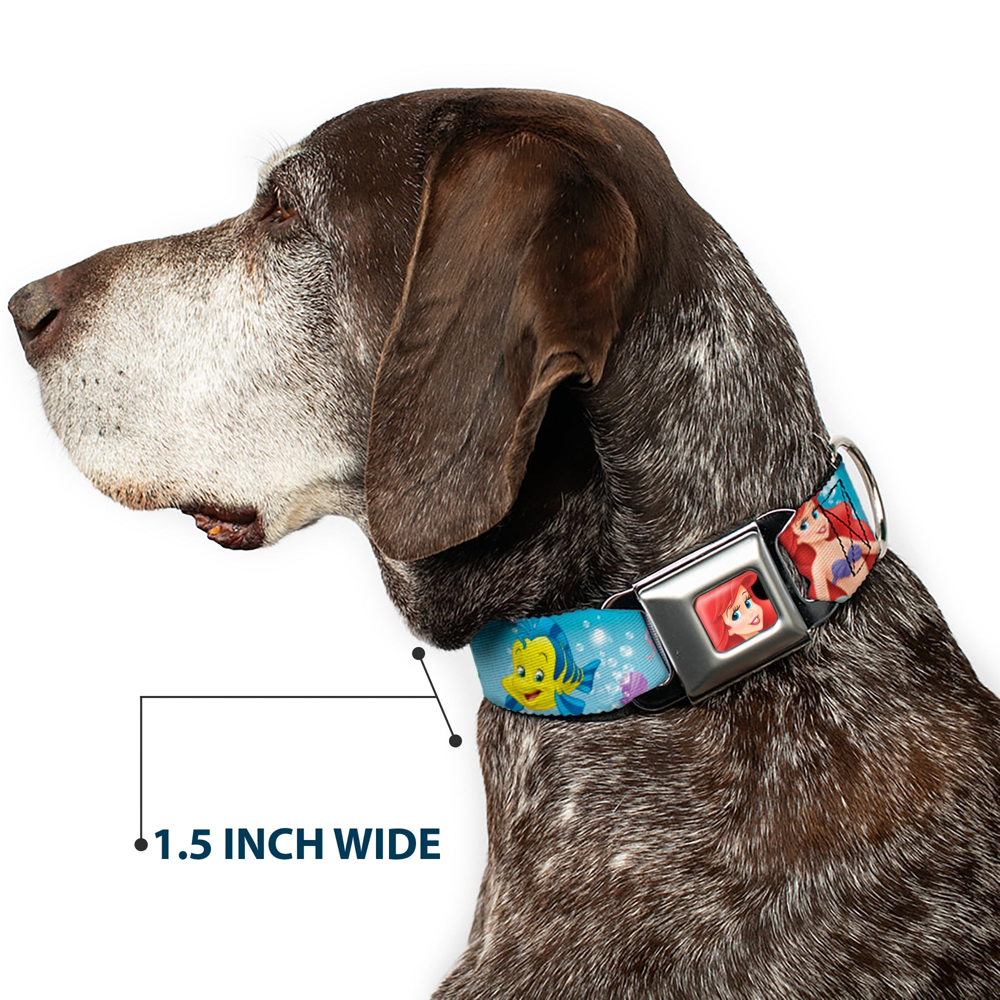 Ariel CLOSE-UP Full Color Seatbelt Buckle Collar - Ariel, Sebastian & Flounder Scene2