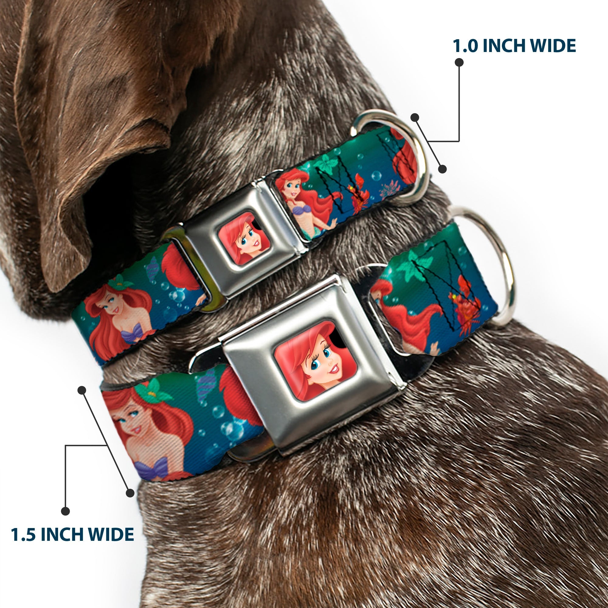 Ariel CLOSE-UP Full Color Seatbelt Buckle Collar - Ariel Poses w/Flounder Green/Blue Fade