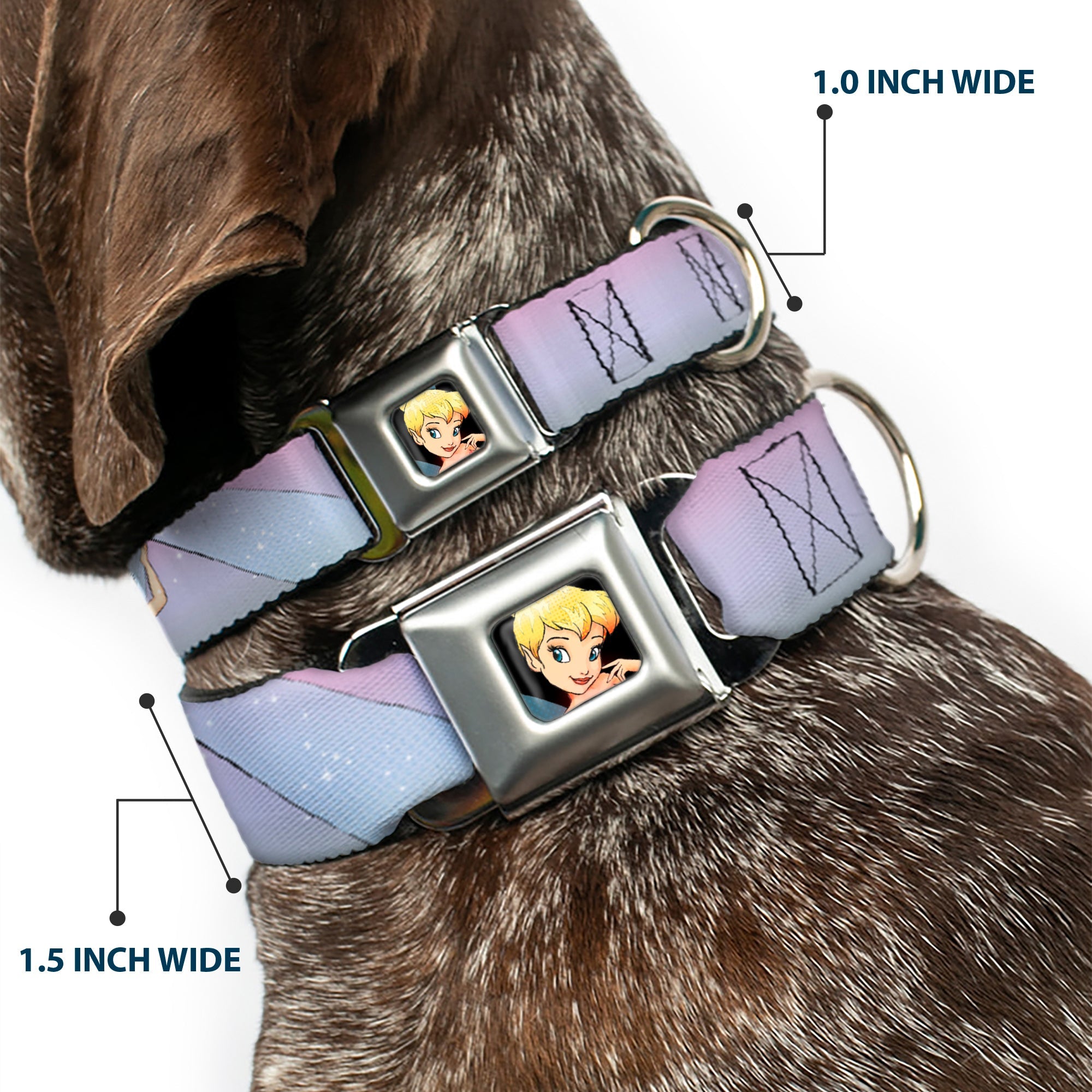 Tinker Bell CLOSE-UP Full Color Seatbelt Buckle Collar - Tinker Bell Poses Purple/Pink Fade