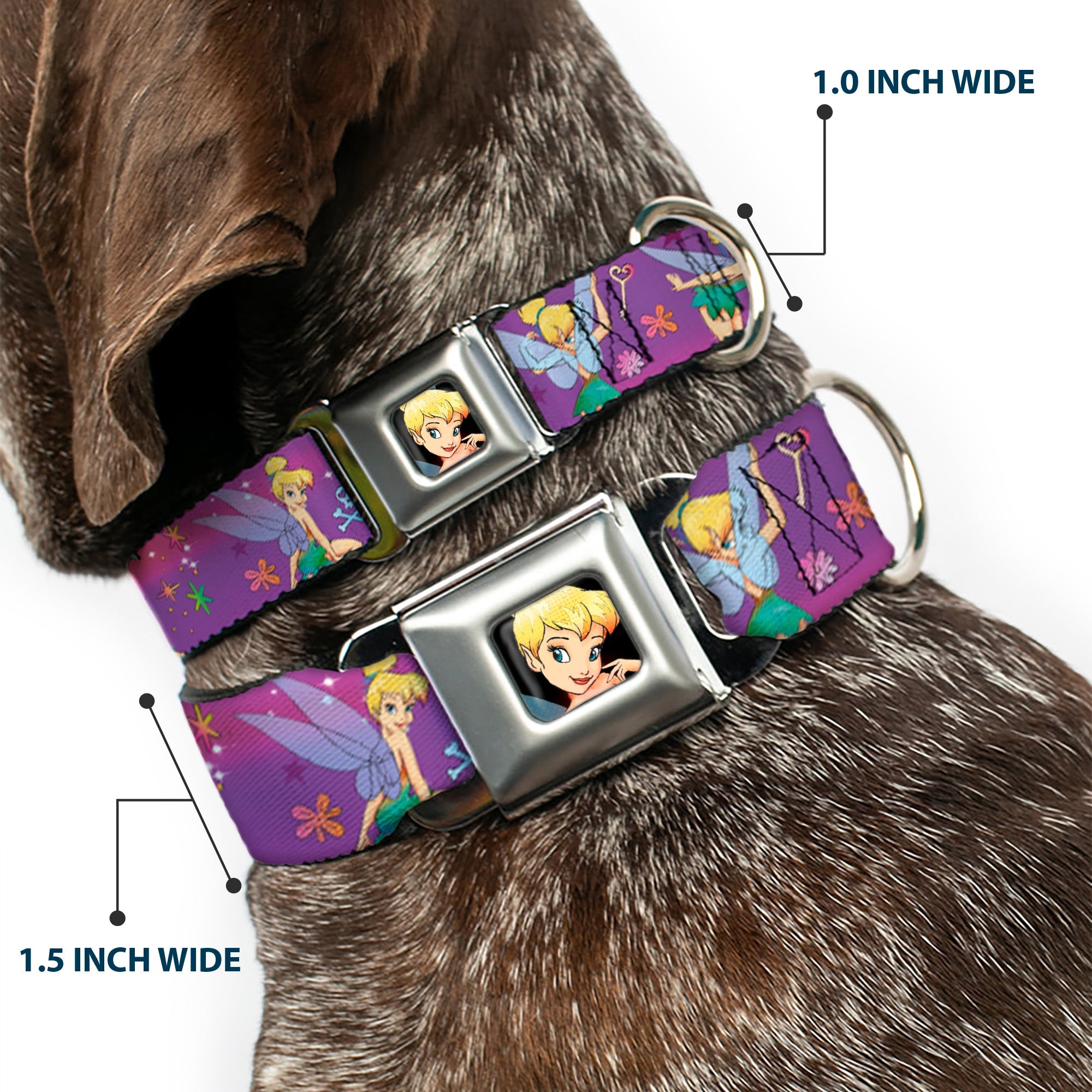 Tinker Bell CLOSE-UP Full Color Seatbelt Buckle Collar - Tinker Bell Poses/Flowers/Stars/Skull Purple