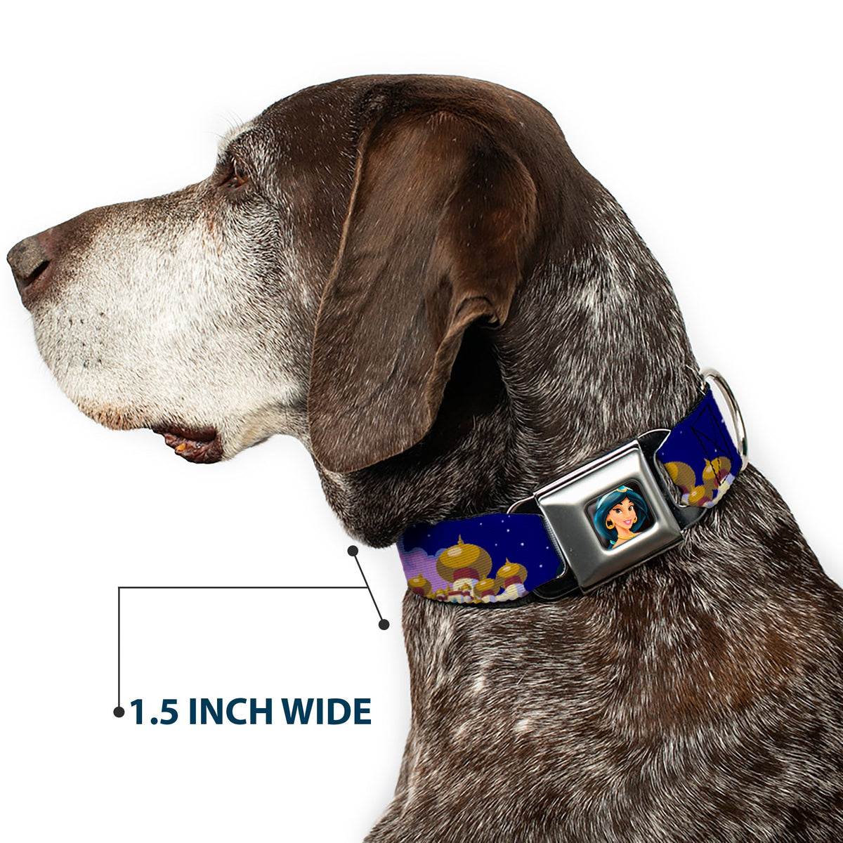 Jasmine CLOSE-UP Full Color Seatbelt Buckle Collar - Aladdin & Jasmine Magic Carpet Ride Scenes