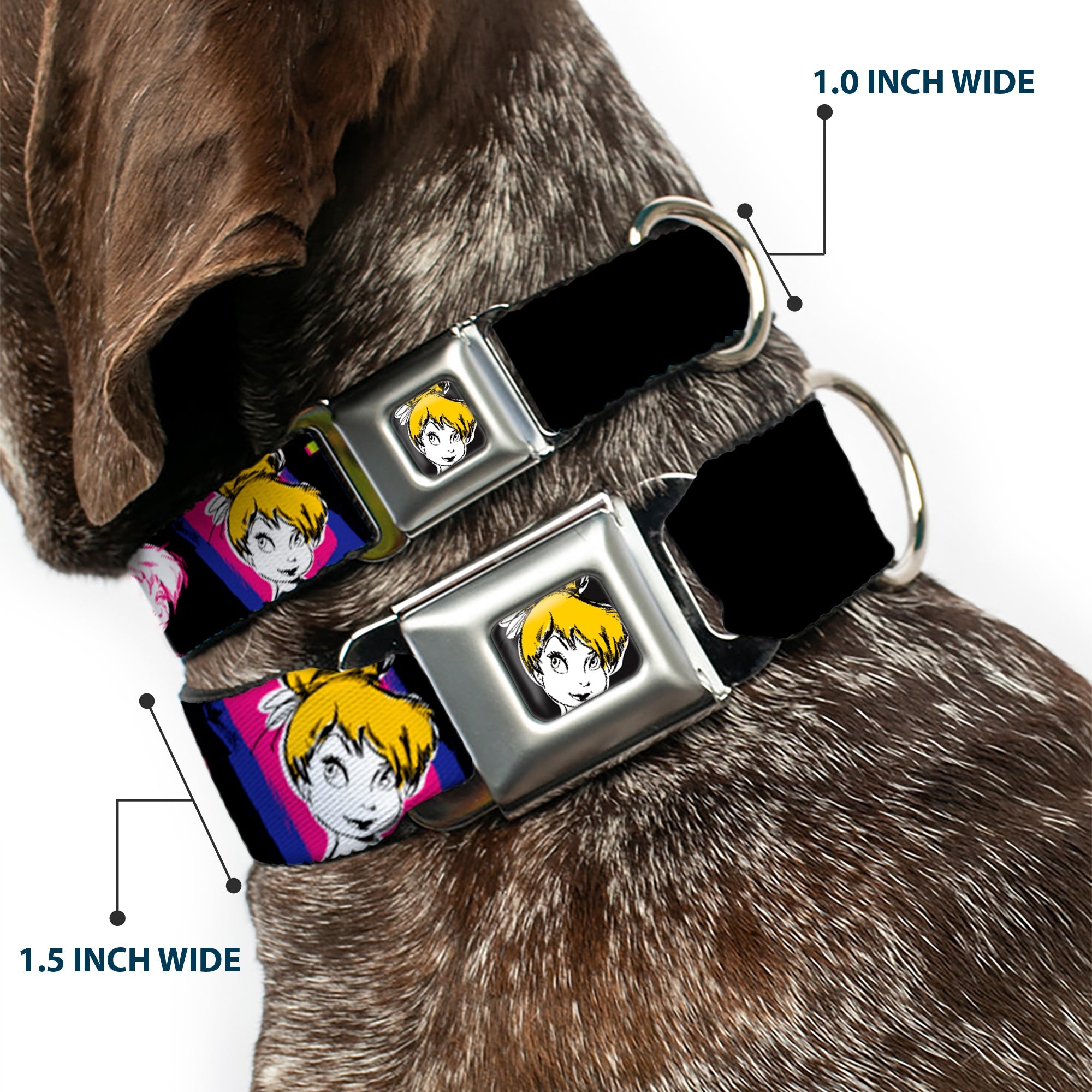 Tink Luxe Full Color Black White Seatbelt Buckle Collar - TINK LUXE Sketch Black/Multi Neon