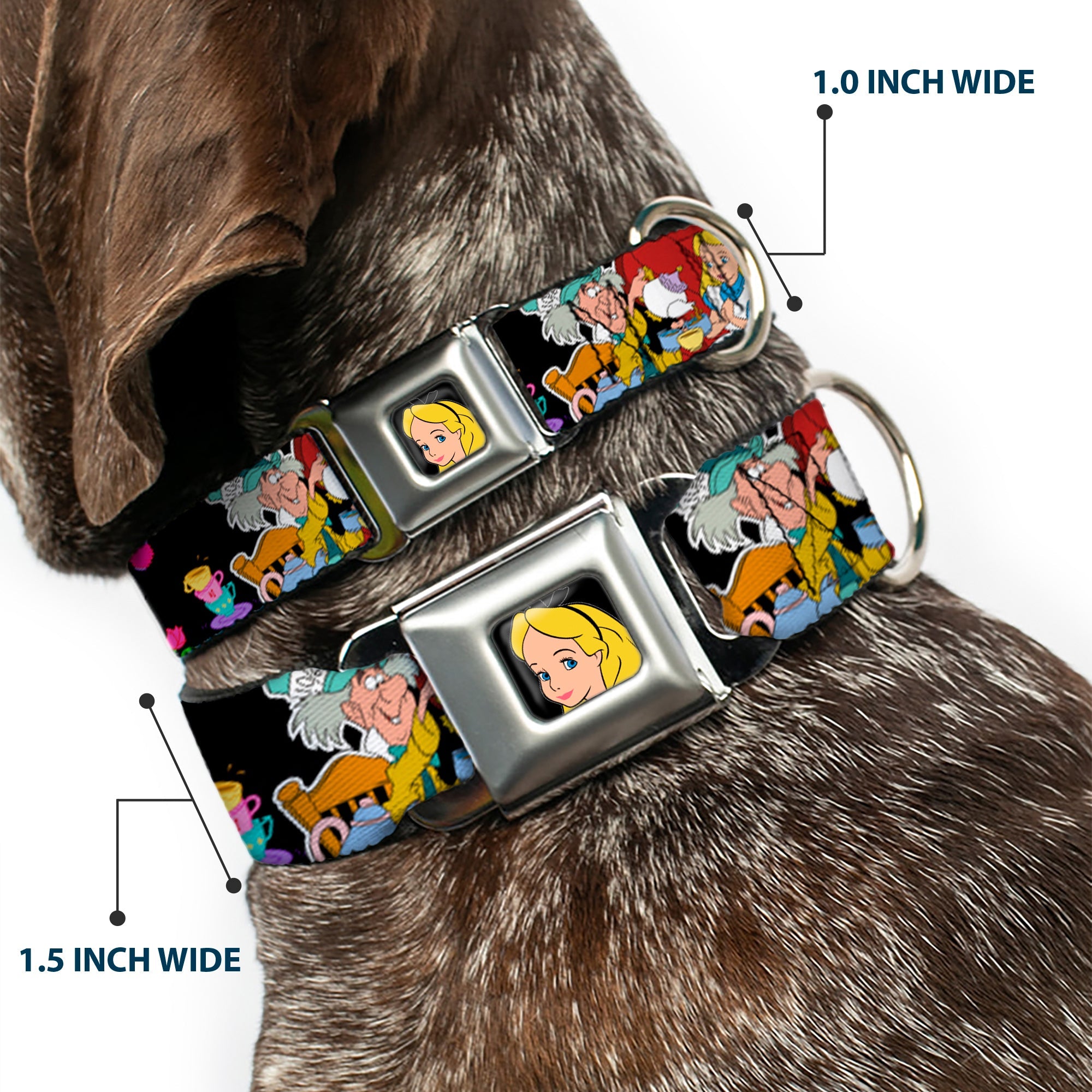 Alice CLOSE-UP Full Color Seatbelt Buckle Collar - Alices Encounters in Wonderland