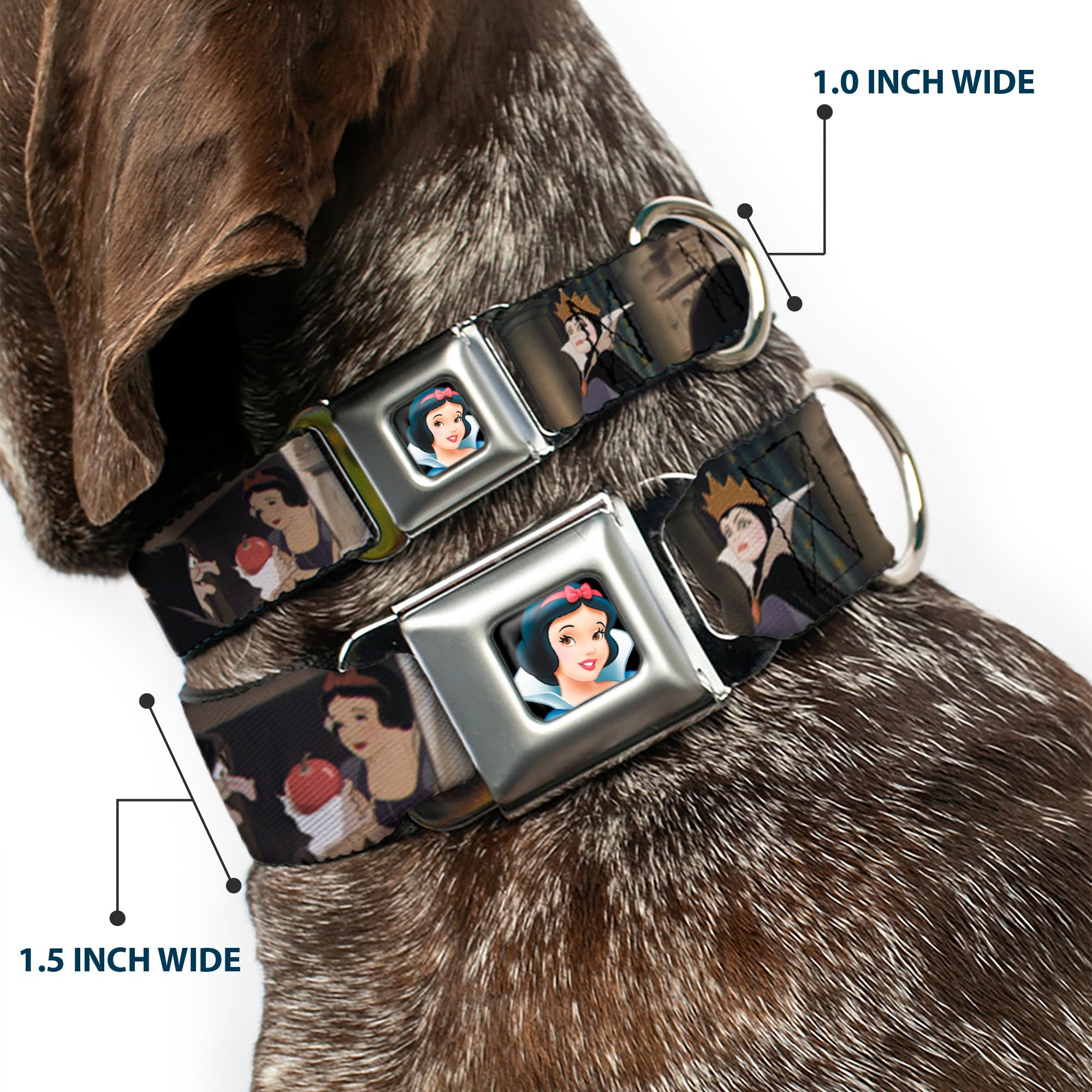 Snow White Full Color Black Seatbelt Buckle Collar - Snow White Scenes