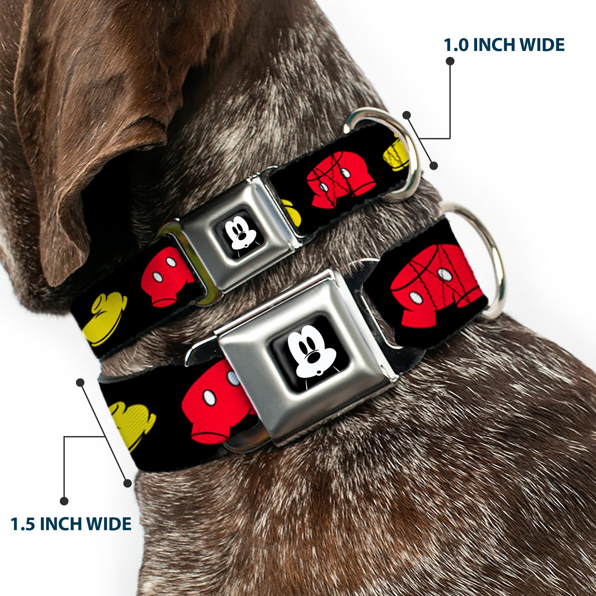 Mickey Mickey Mouse Expression4 Full Color Black/White Seatbelt Buckle Collar - Mickey Mouse Shorts and Shoes Black/Red/Yellow
