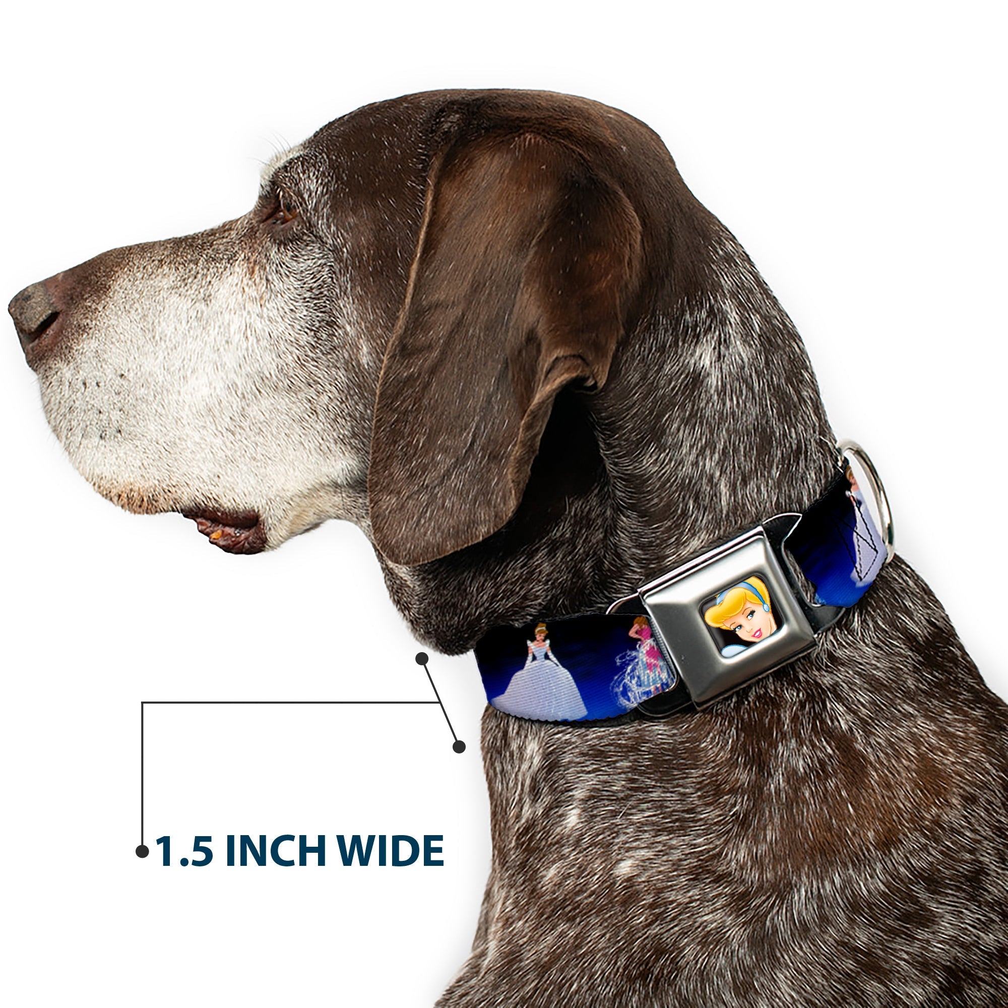 Cinderella CLOSE-UP Full Color Seatbelt Buckle Collar - Cinderella Transformation Blue Fade