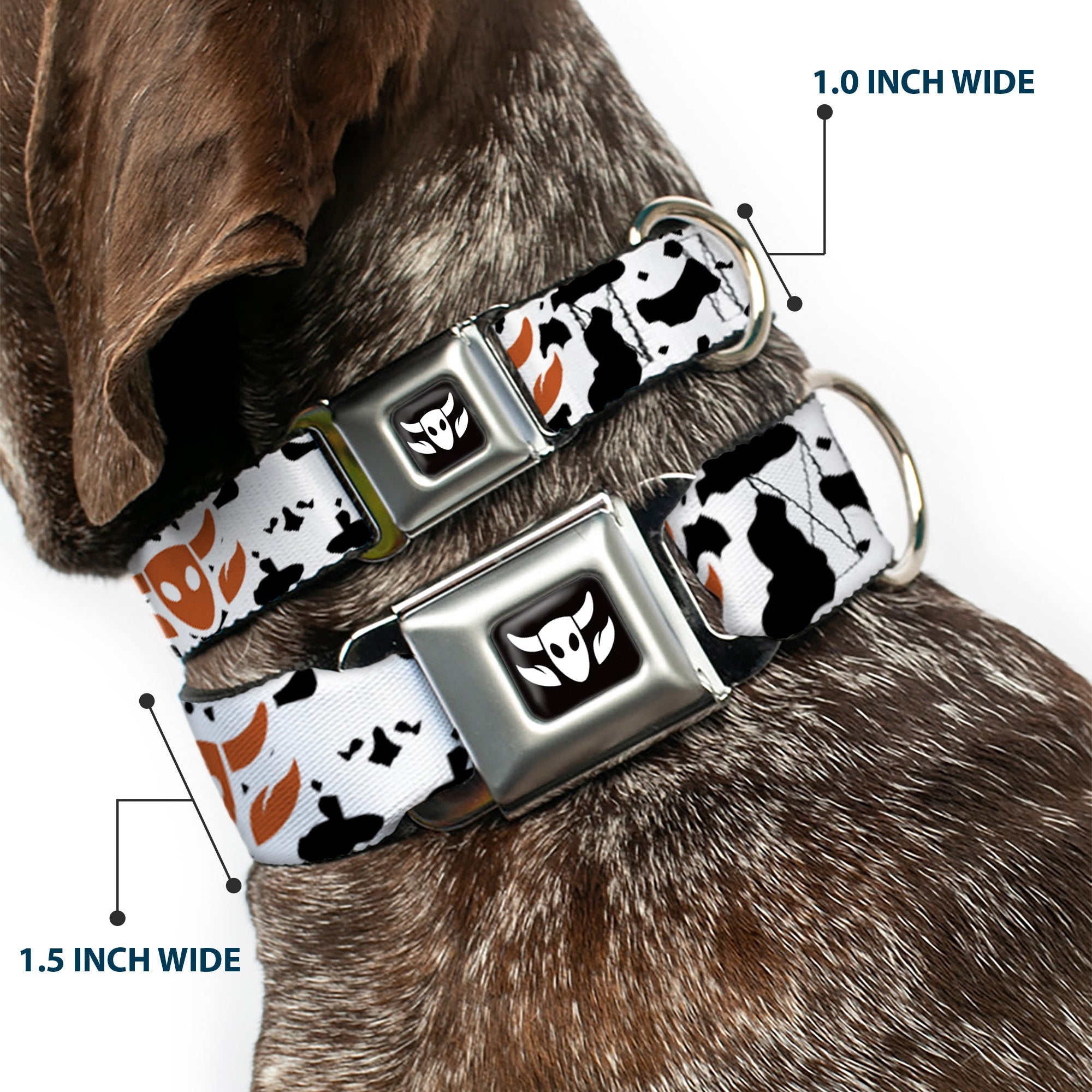 Toy Story Woody Cowboy Bull Icon Full Color Black/White Seatbelt Buckle Collar - Toy Story Woody Bounding Cowboy Cow Print White/Black/Brown