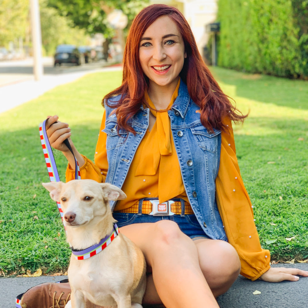 Toy Story Woody Cowboy Buckle Logo Full Color Golds Seatbelt Buckle Collar - Toy Story Woody Bounding Plaid Shirt Gold/Red