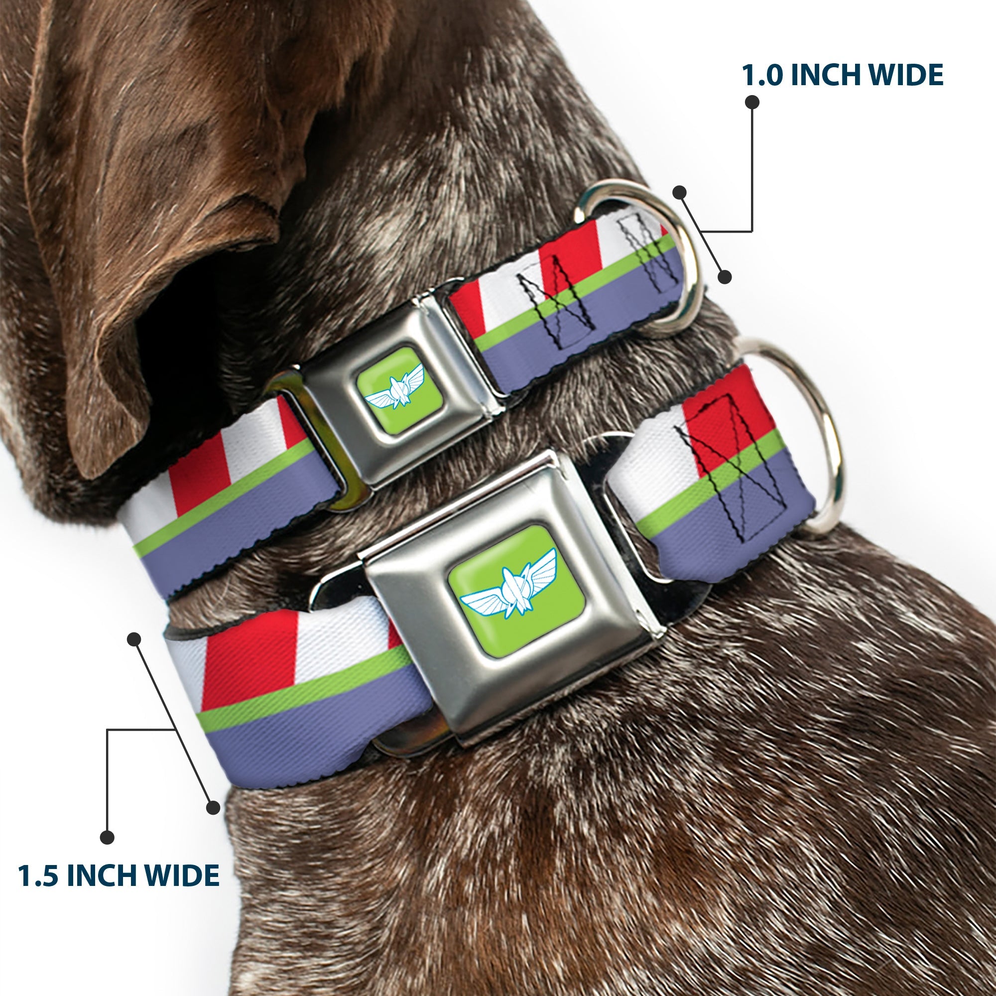 Toy Story Buzz Lightyear Space Ranger Wings Icon Full Color Green/Blue/White Seatbelt Buckle Collar - Toy Story Buzz Lightyear Space Ranger Logo/Striping Red/White/Green/Purple