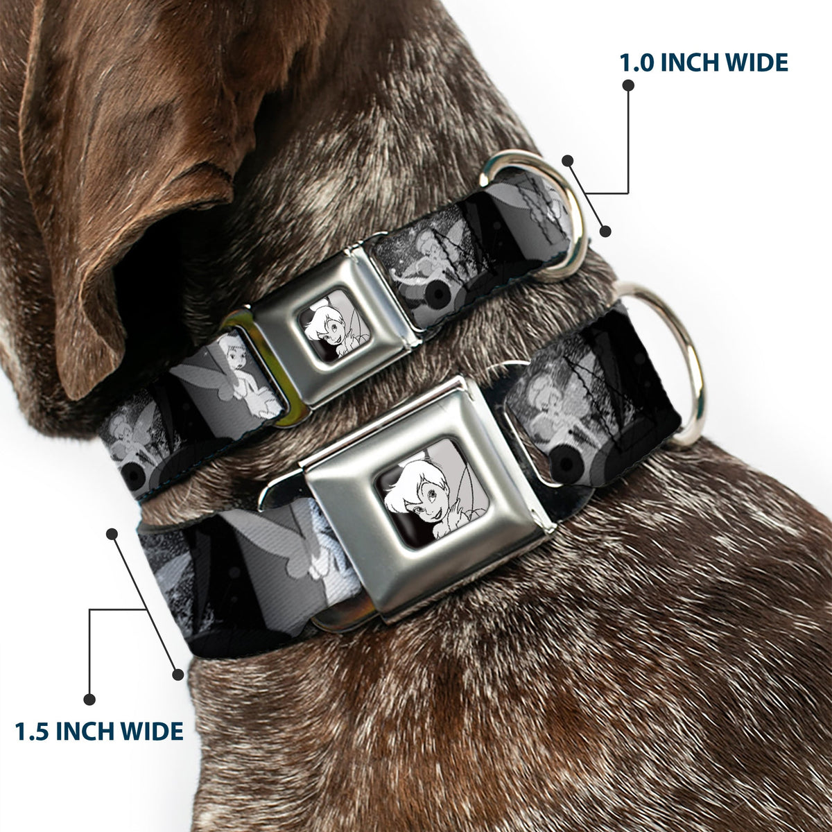 Tinker Bell CLOSE-UP Full Color Black White Seatbelt Buckle Collar - Tinker Bell Scenes Black/White