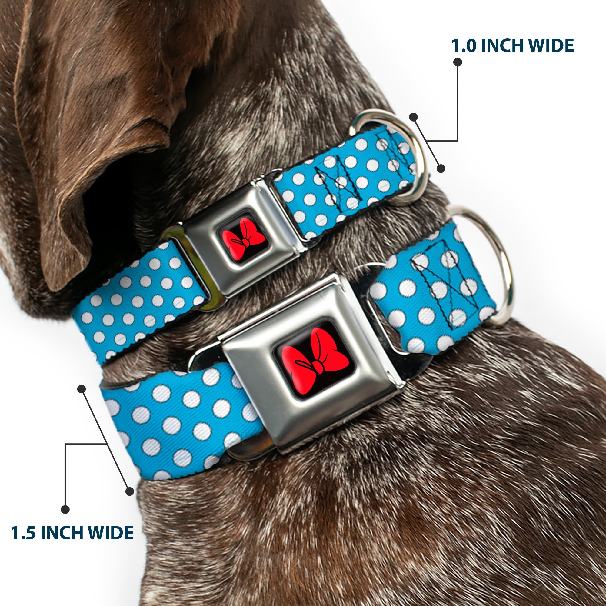 Dog Collar DYYR-Minnie Mouse Bow Full Color Black/Red - Minnie Mouse Dots Blue/Black/White