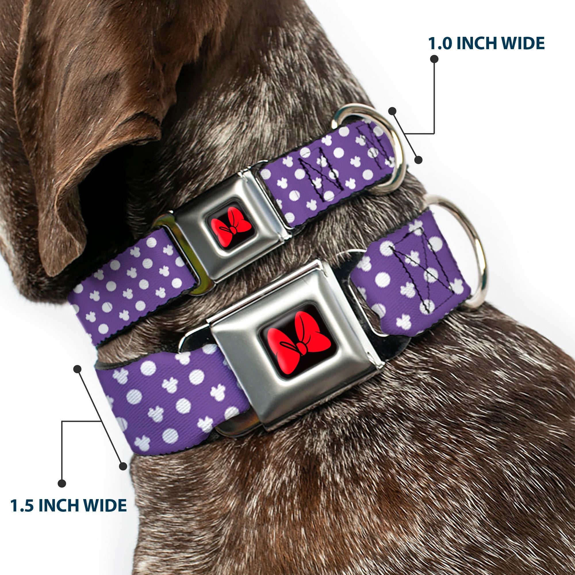 Dog Collar DYYR-Minnie Mouse Bow Full Color Black/Red - Minnie Mouse Ears Monogram/Dots Purple/White