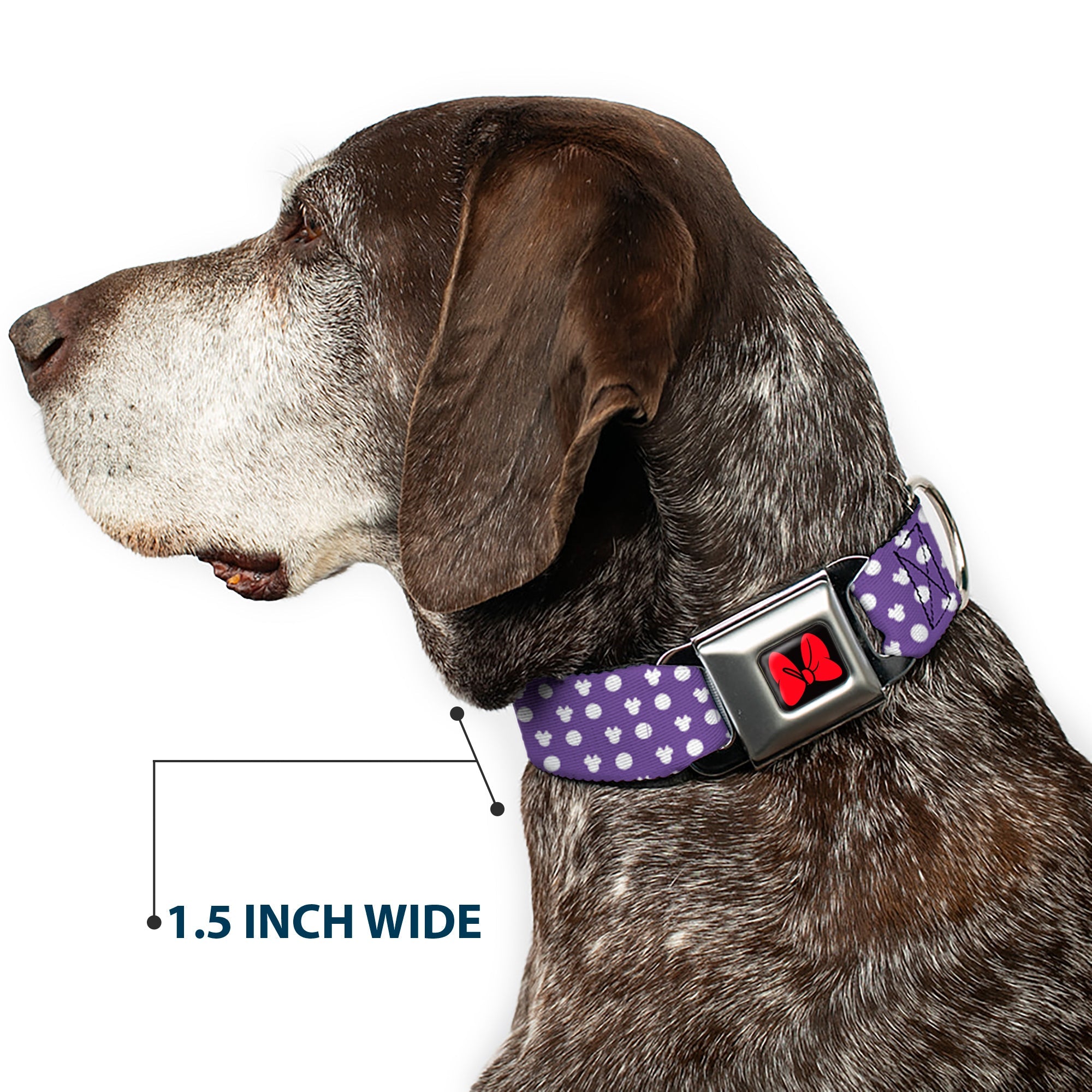 Dog Collar DYYR-Minnie Mouse Bow Full Color Black/Red - Minnie Mouse Ears Monogram/Dots Purple/White