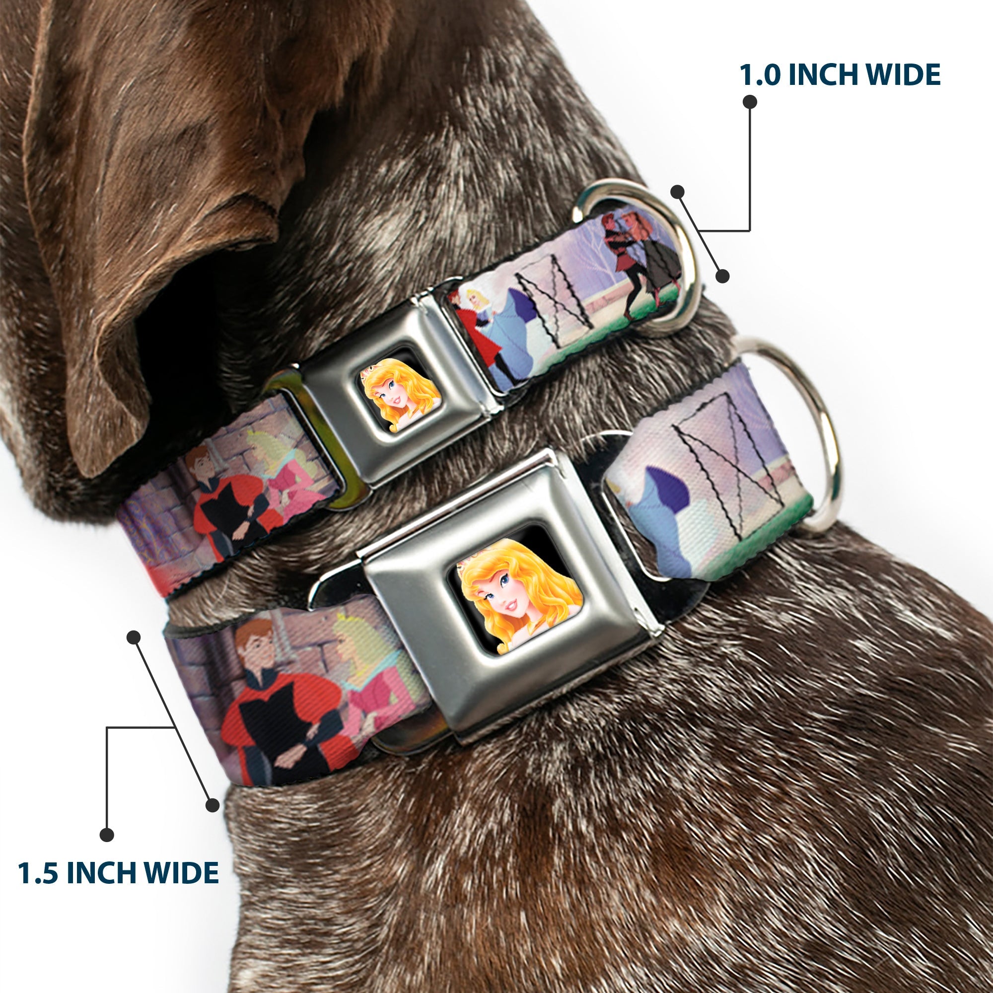 Sleeping Beauty Princess Aurora Full Color Seatbelt Buckle Collar - Sleeping Beauty & Prince Scenes