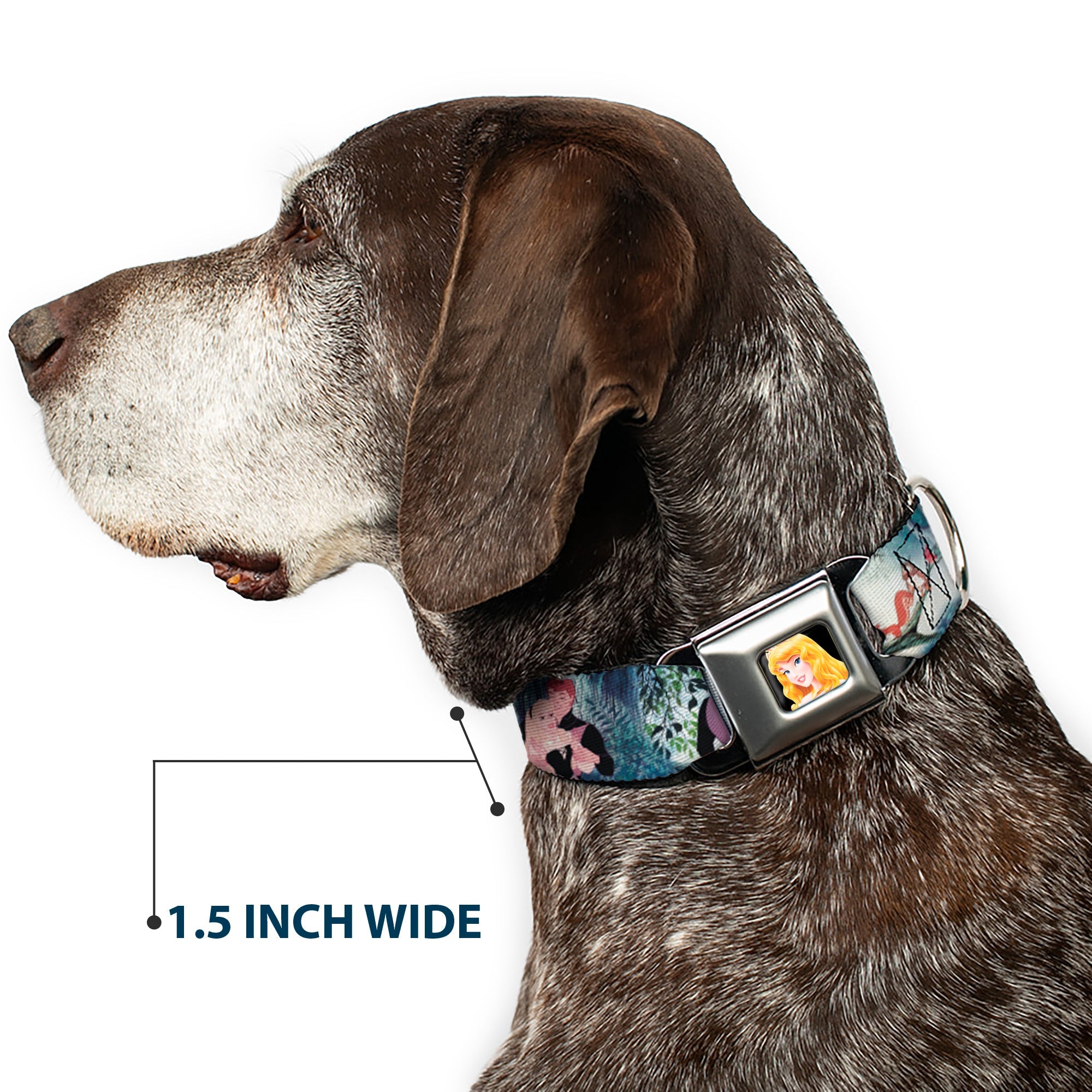 Sleeping Beauty Full Color Seatbelt Buckle Collar - Sleeping Beauty Woods Scenes
