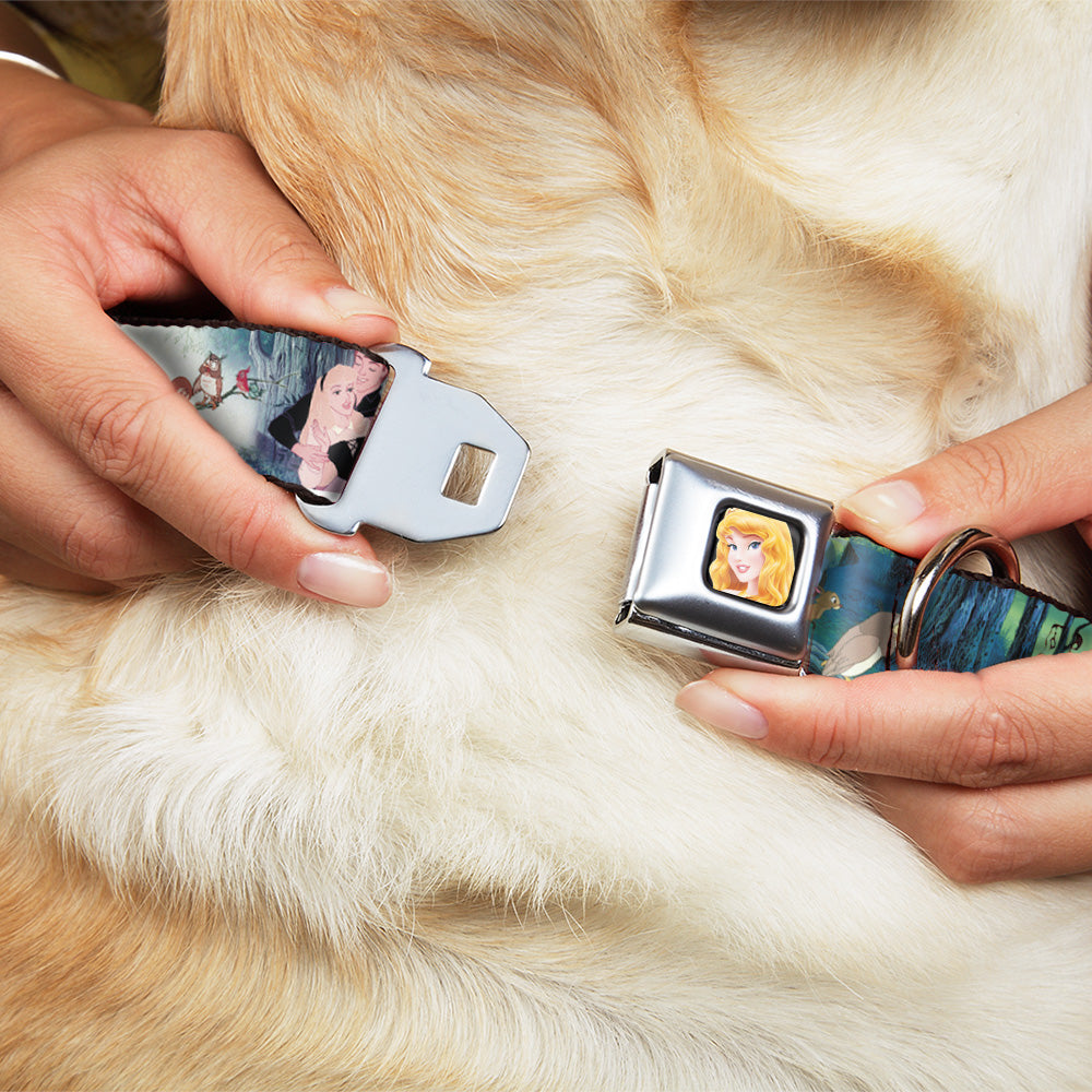 Sleeping Beauty Full Color Seatbelt Buckle Collar - Sleeping Beauty Woods Scenes