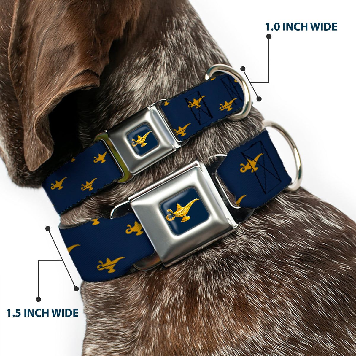 Aladdin 2019 Magic Lamp Full Color Navy/Golds Seatbelt Buckle Collar - Aladdin Genie Lamp Monogram Navy/Gold