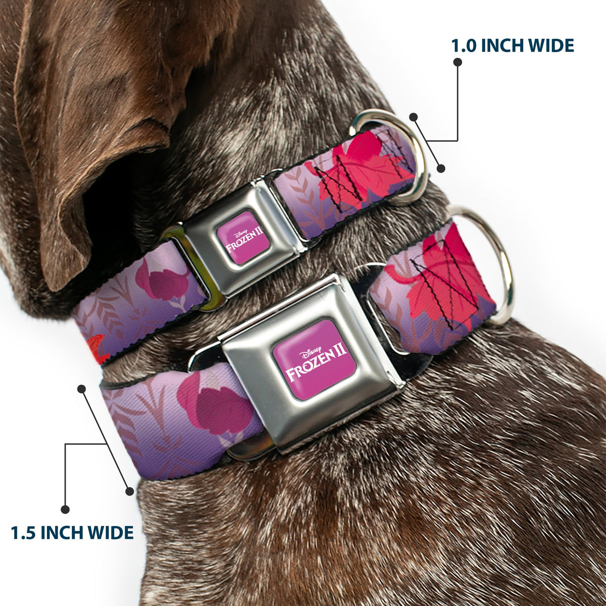 Disney FROZEN II Logo Full Color Purple/White Seatbelt Buckle Collar - Frozen II Swirling Leaves/Floral Trim Purples/Reds