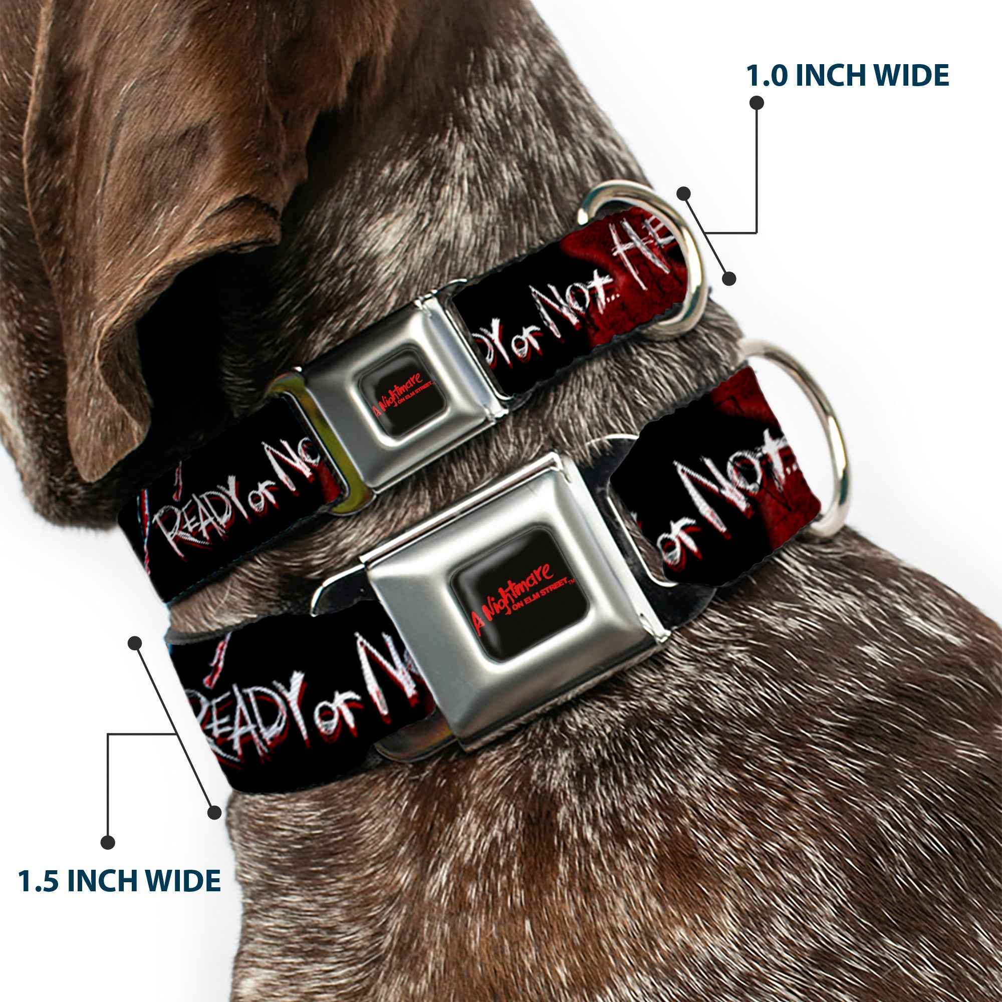 Buckle-Down A Nightmare On Elm Street Black/Blood Splatter Reds & Ready Or Not Here I Come/Freddy Silhouette Seatbelt Buckle Dog Collar