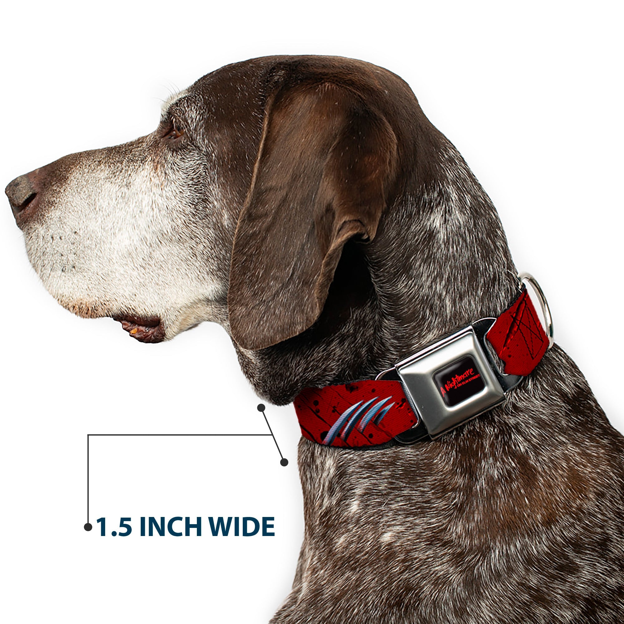 Buckle-Down A Nightmare On Elm Street Black/Blood Splatter Reds & Street/Freddys Hand Scratching Reds/Black/Gray Seatbelt Buckle Dog Collar