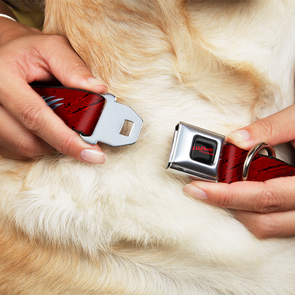Buckle-Down A Nightmare On Elm Street Black/Blood Splatter Reds & Street/Freddys Hand Scratching Reds/Black/Gray Seatbelt Buckle Dog Collar