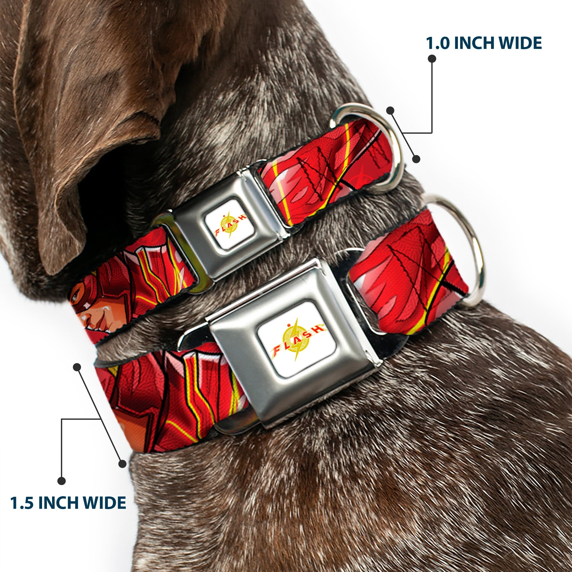Flash 2023 Title Logo Full Color White/Yellow/Red Seatbelt Buckle Collar - The Flash 2023 2-Poses Close-Up Reds